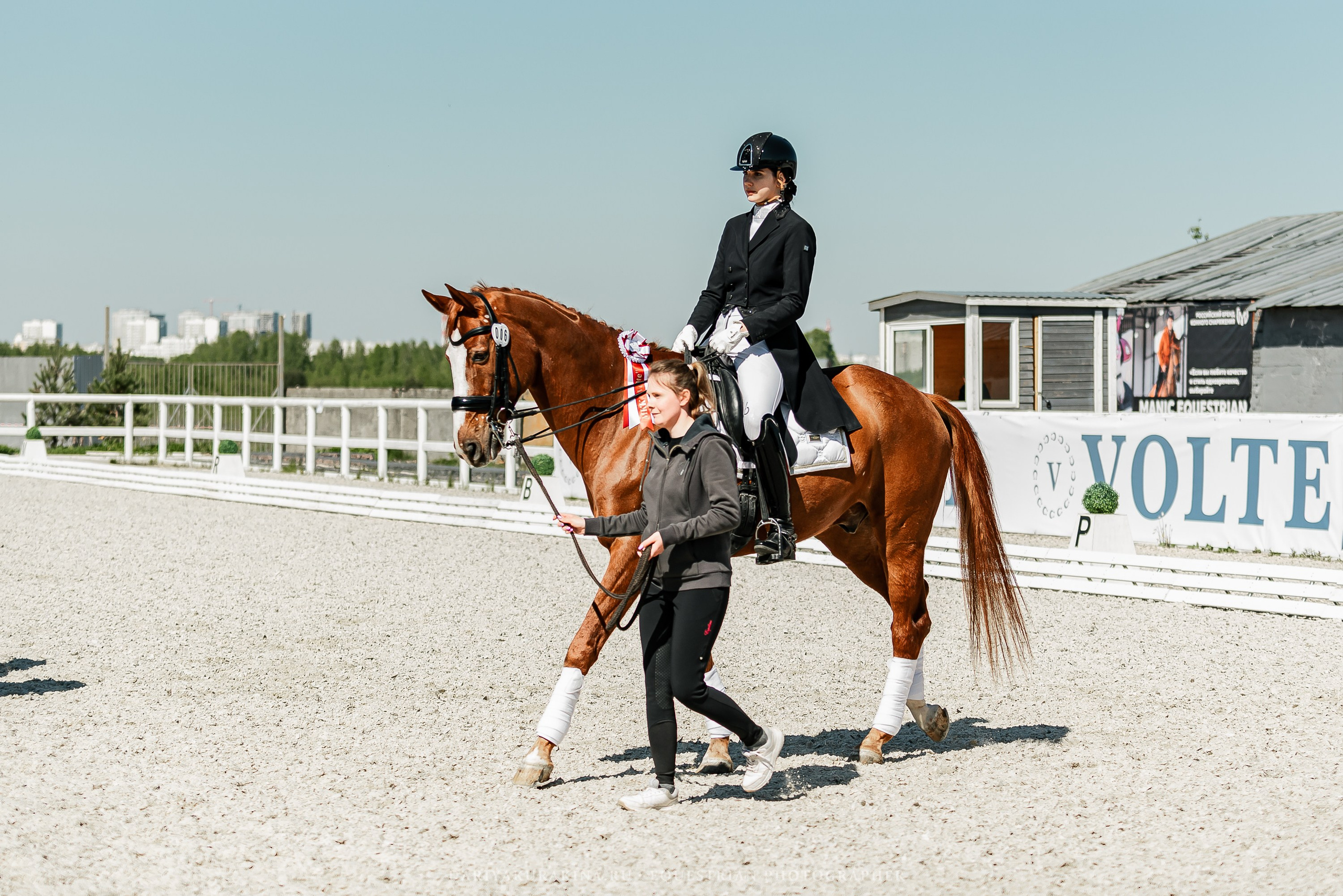 РЕПОРТАЖ МКК ВОЛЬТ «LA TULIPS». Конный фотограф Куракина Дарья • Фотосессии с лошадьми