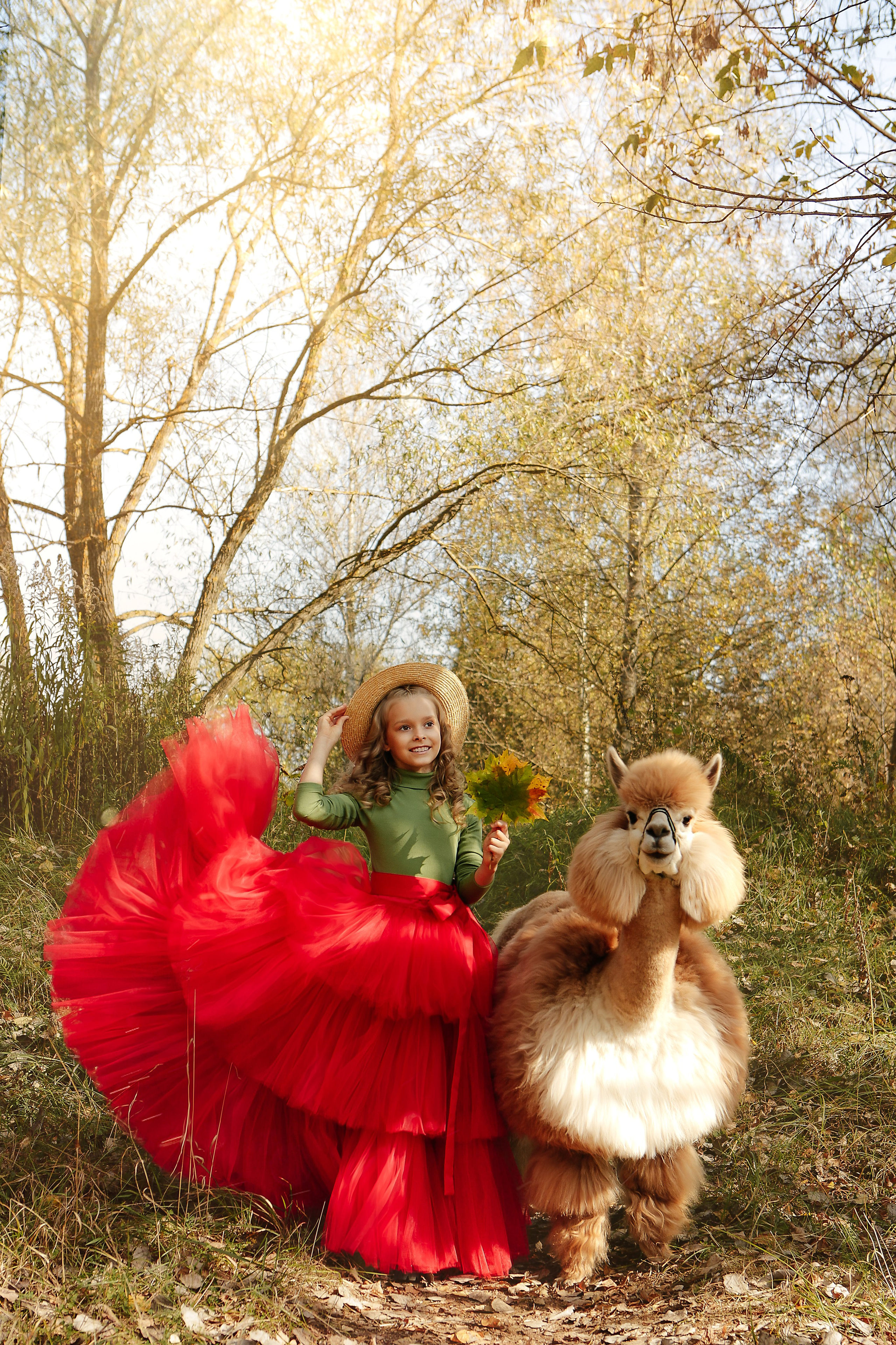 Альпаки. Семейный и детский фотограф в Москве Александра Мак