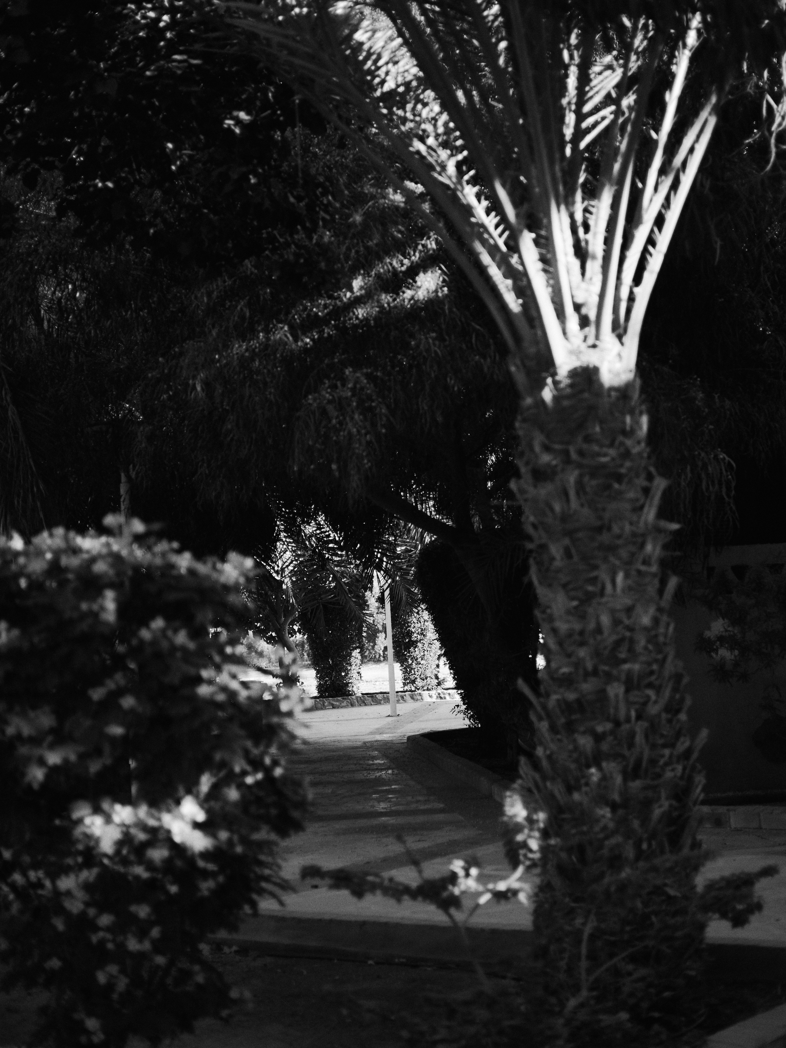 Другое 4. Jorgis — фотограф в Хургаде / обучение фотографии