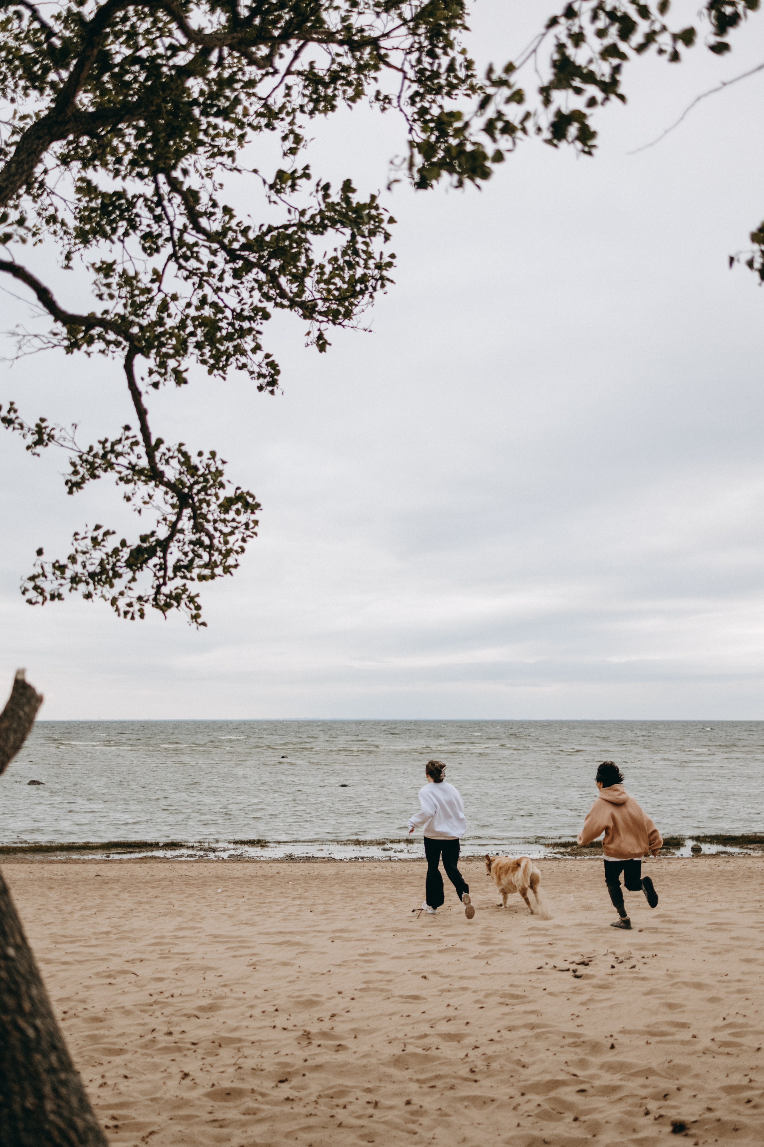 Фоси и его семьи. Фотограф — Анималист | Санкт-Петербург