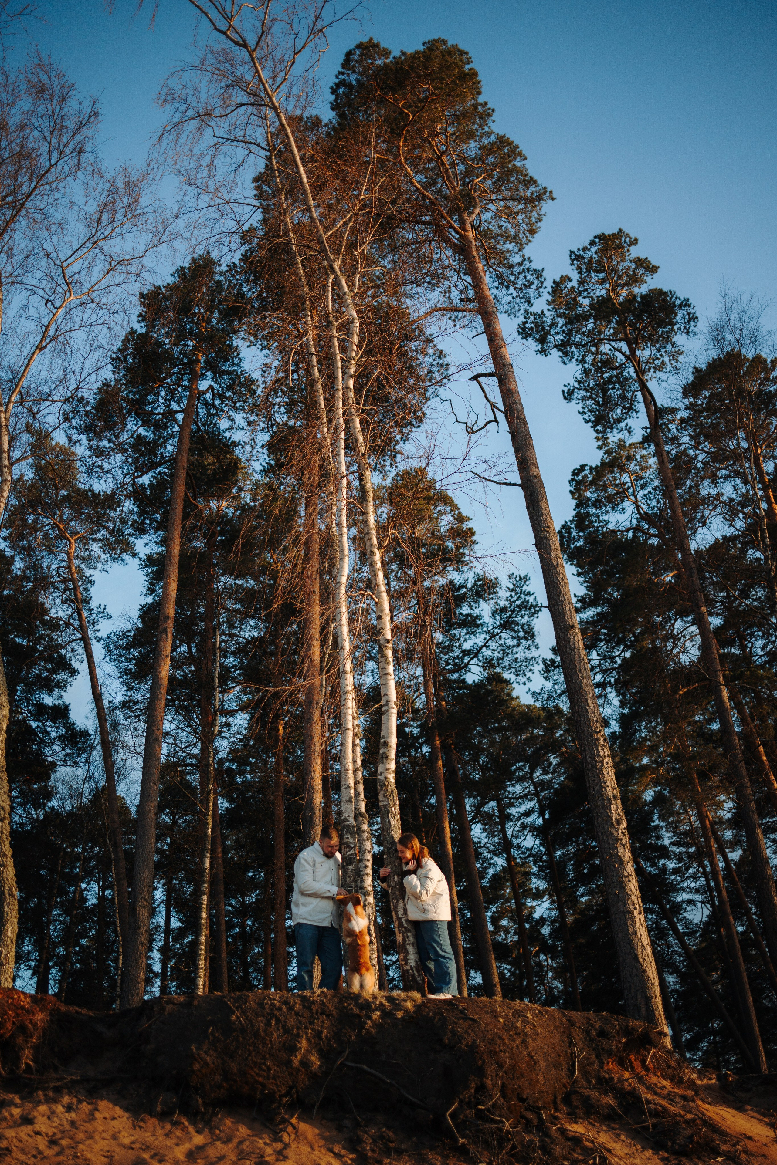 Найт и его семья. Фотограф — Анималист | Санкт-Петербург