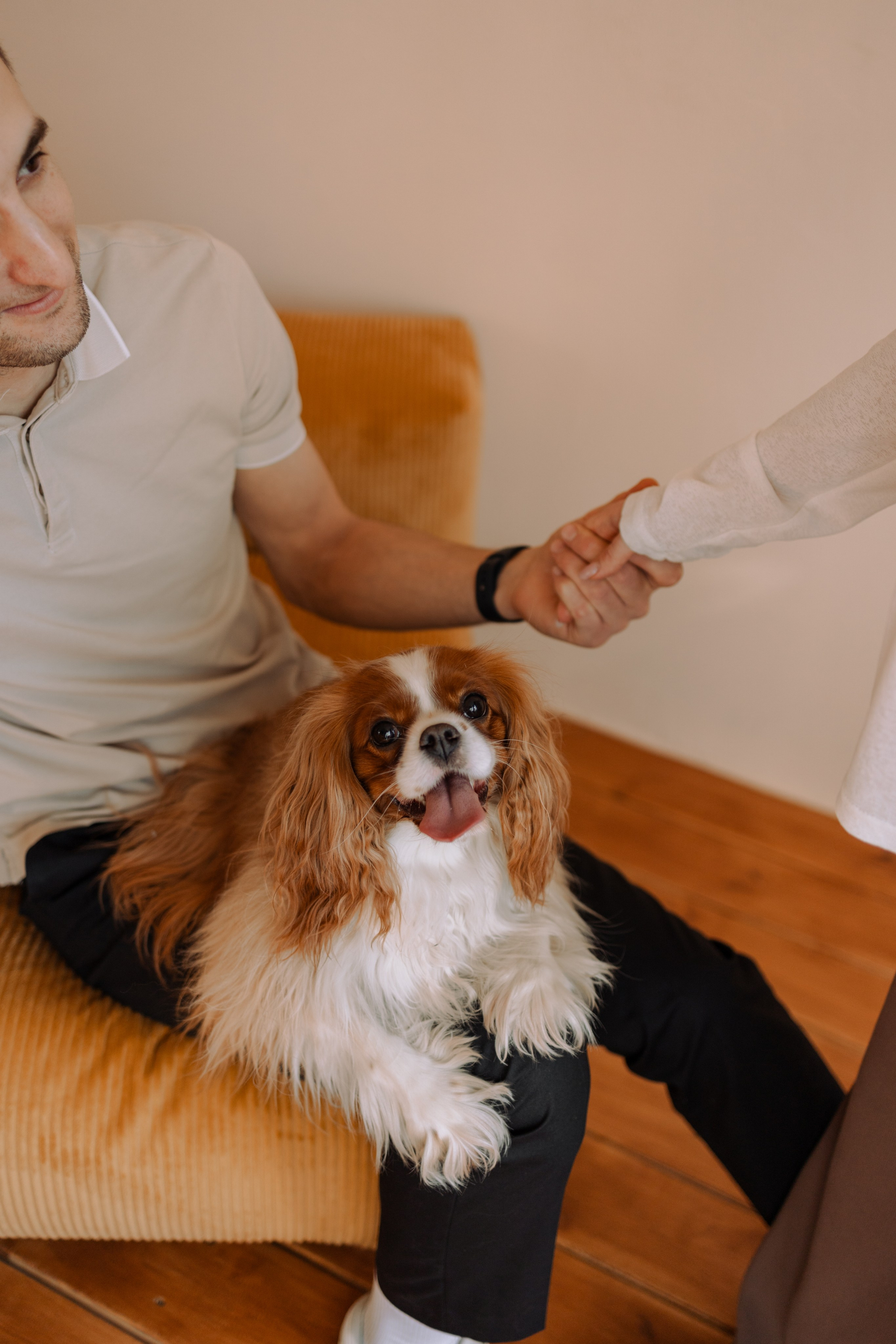 Шерри и ее семья. Фотограф — Анималист | Санкт-Петербург