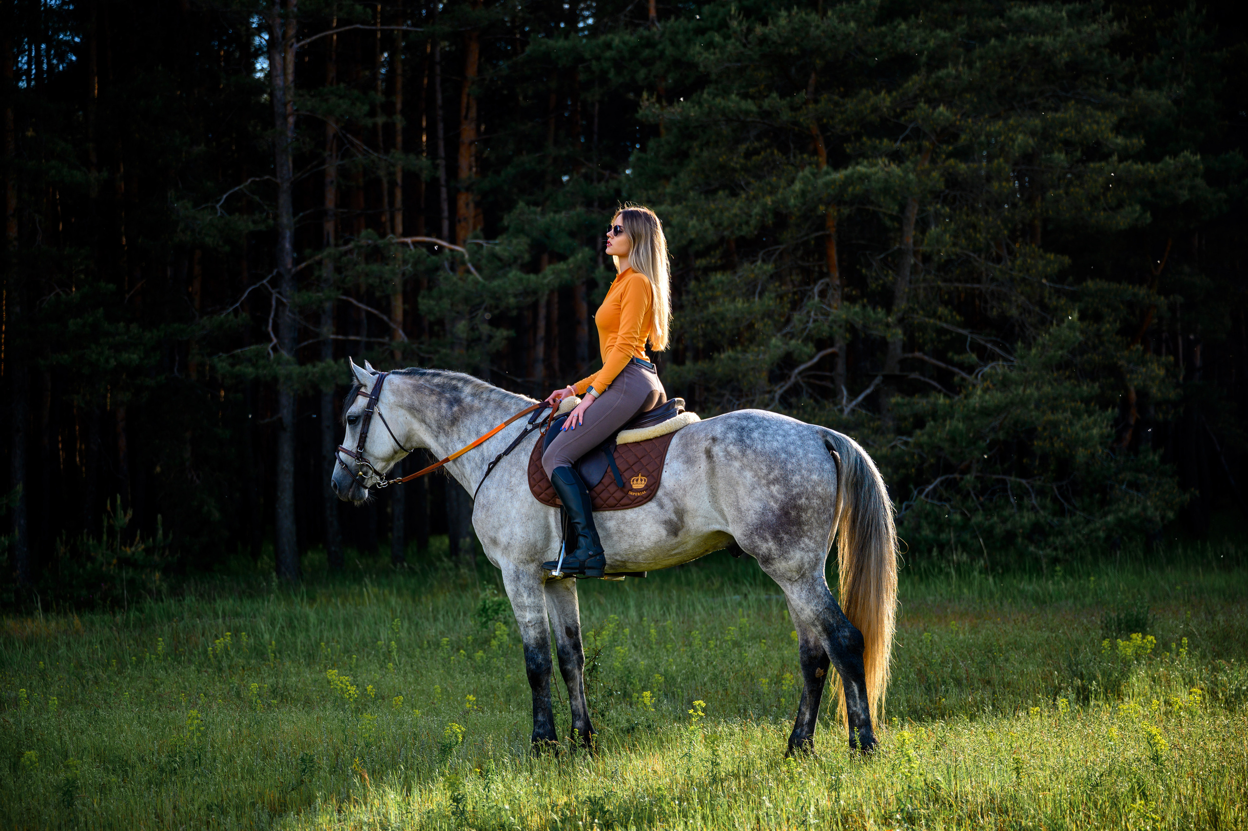 Ирина Старооскольский конный двор. Bazarkom-photo.ru Фотограф Виктор Оськин в Старом Осколе