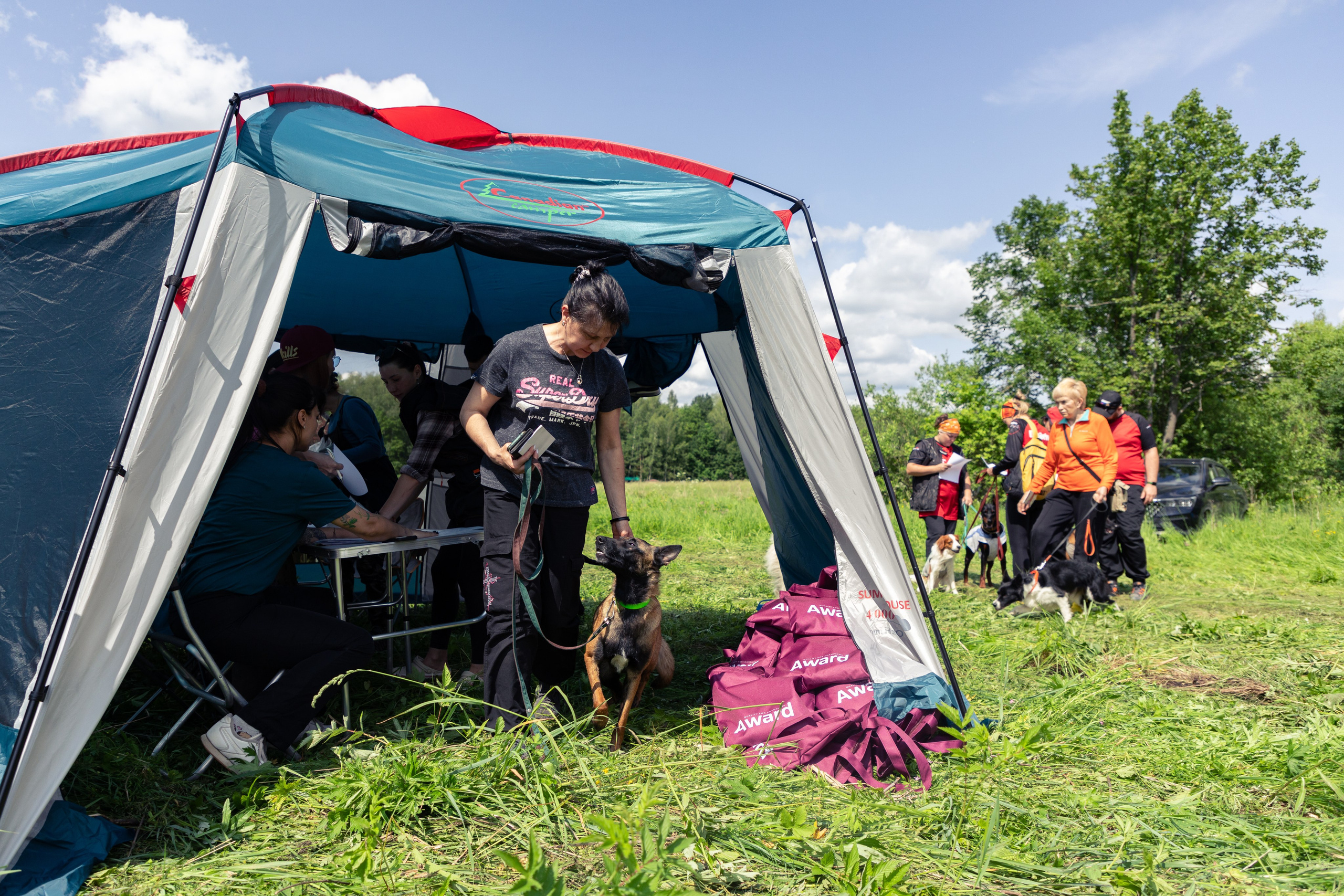 ДПСО «ЛизаАлерт». Главная