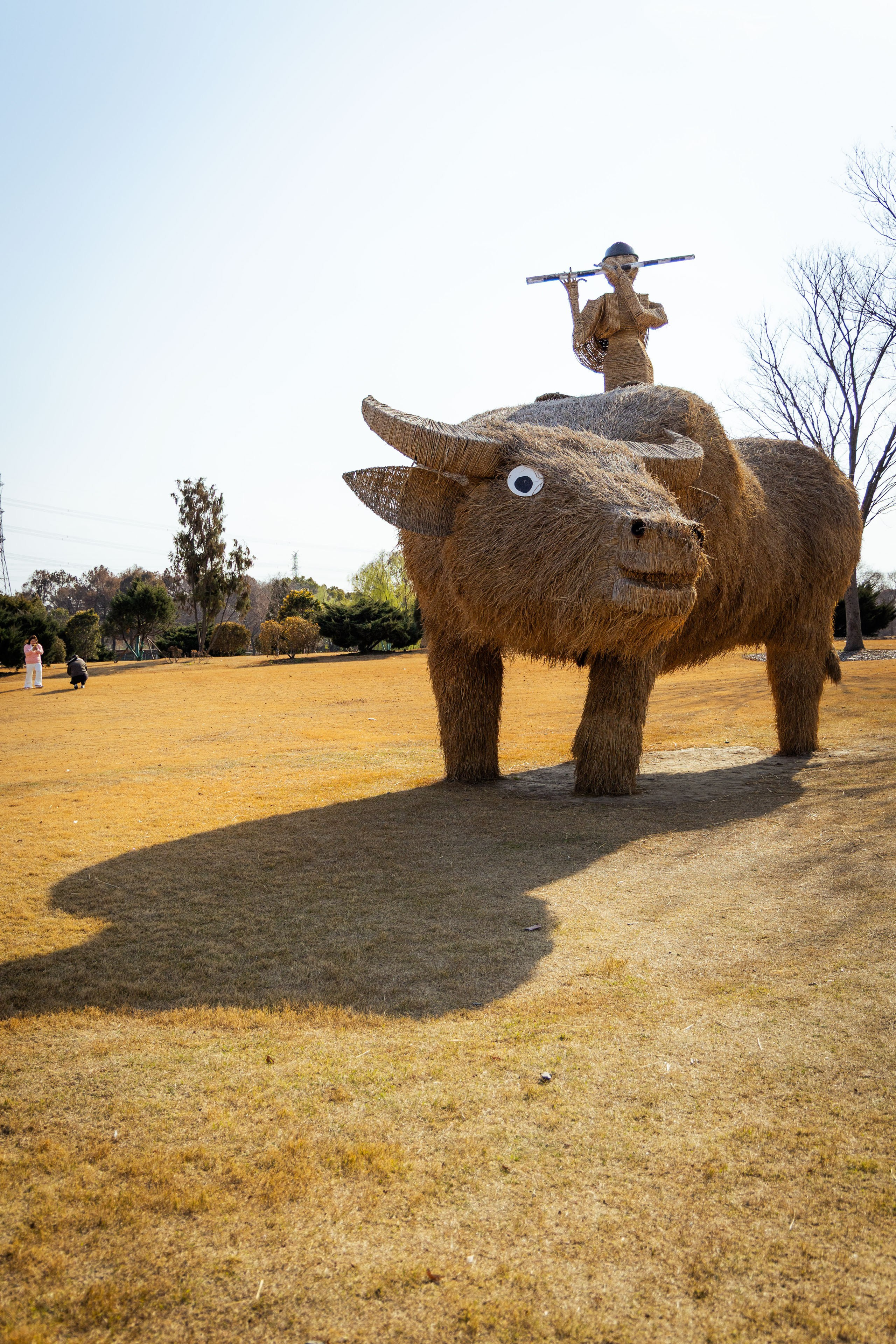 Шанхай (март 2026). Фотограф Виноградов Константин