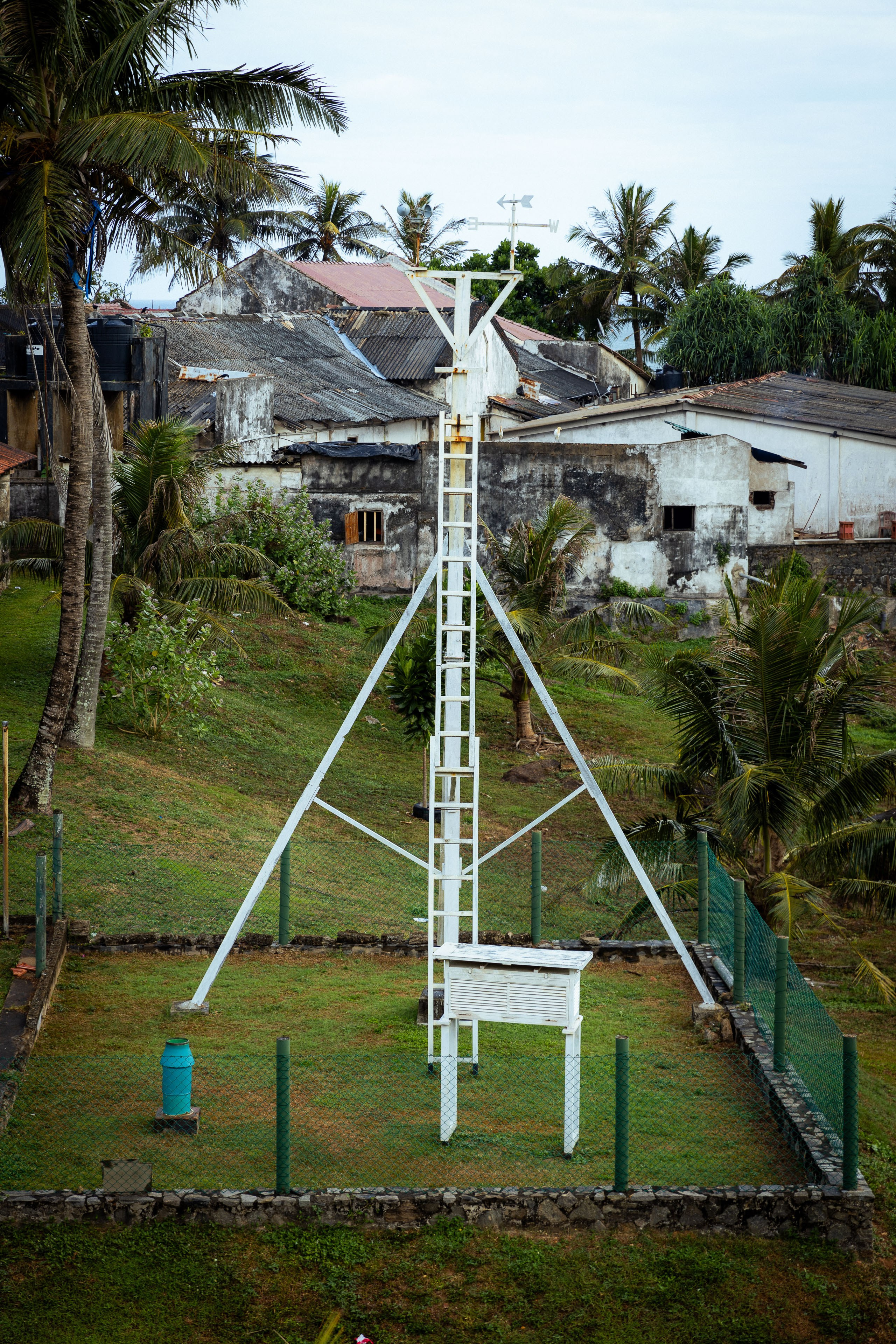 Шри-Ланка (весна 2024). Фотограф Виноградов Константин