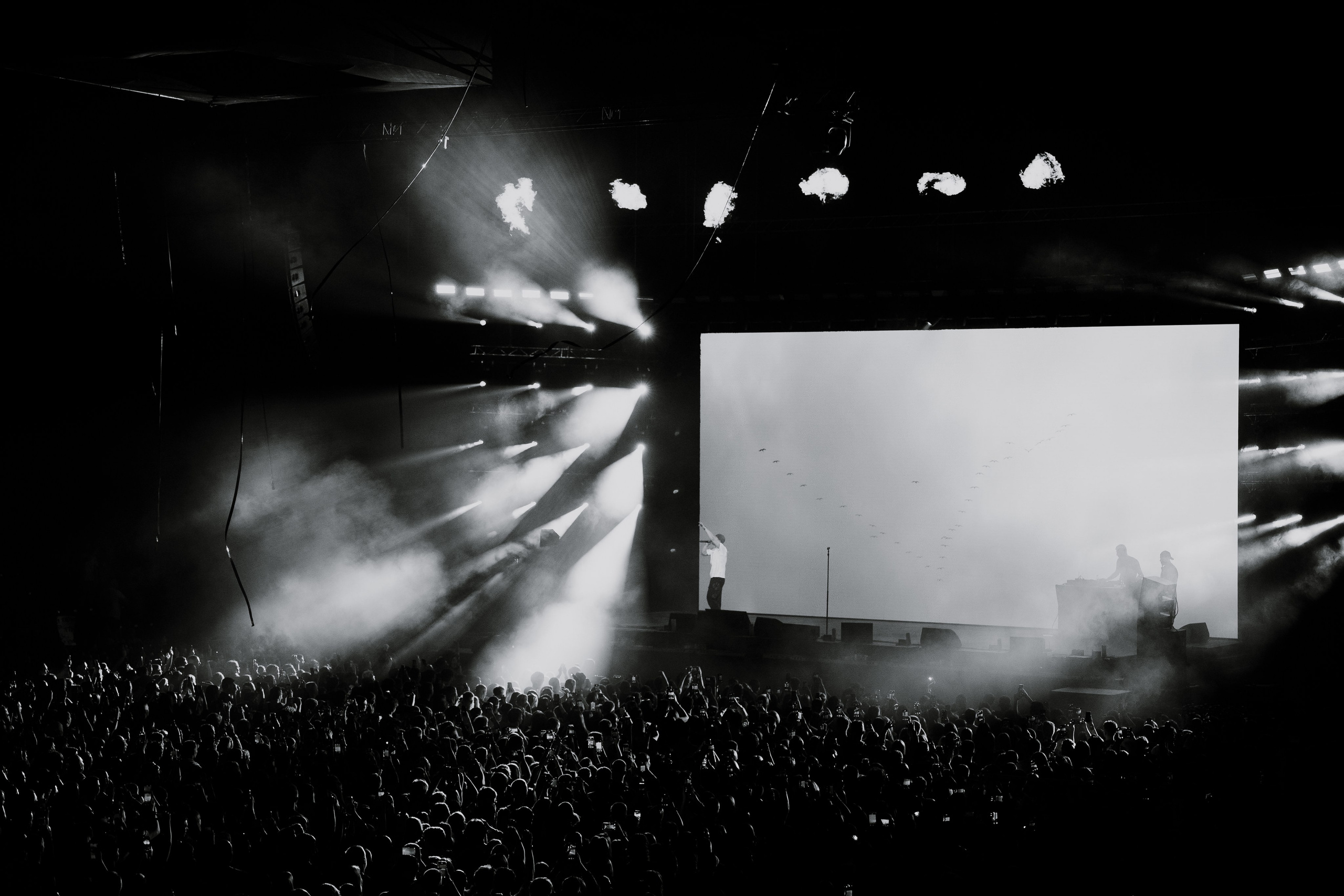 MACAN. Фотограф Москва