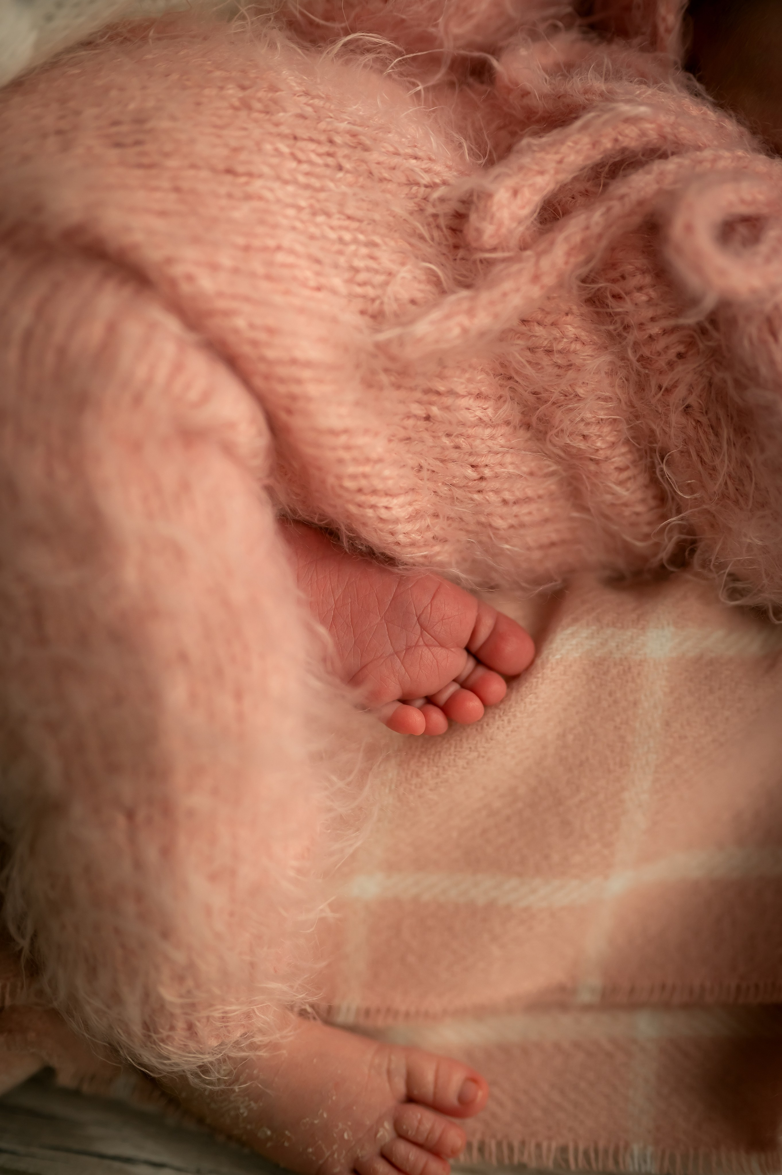 #фотосессия новорожденного. Фотограф новорождённых, семейный, школьный в городе Калуге Евгения