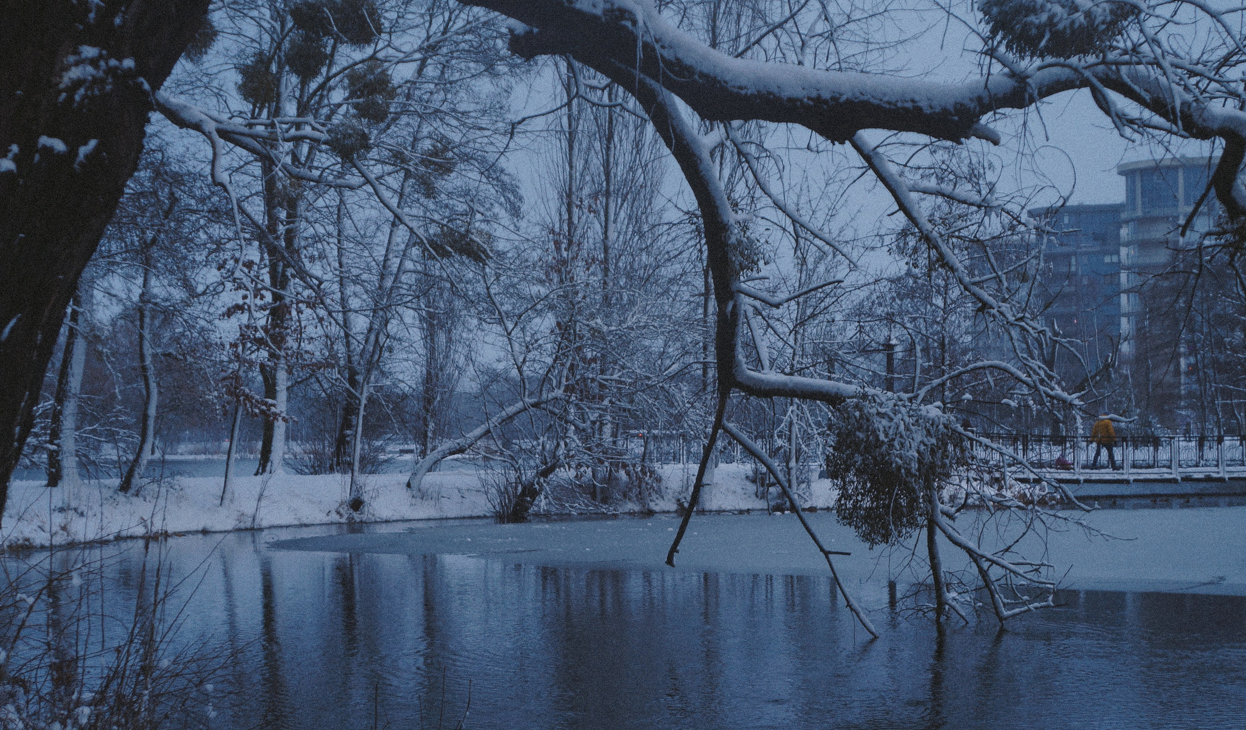 Прогулка. Элька Мурзина