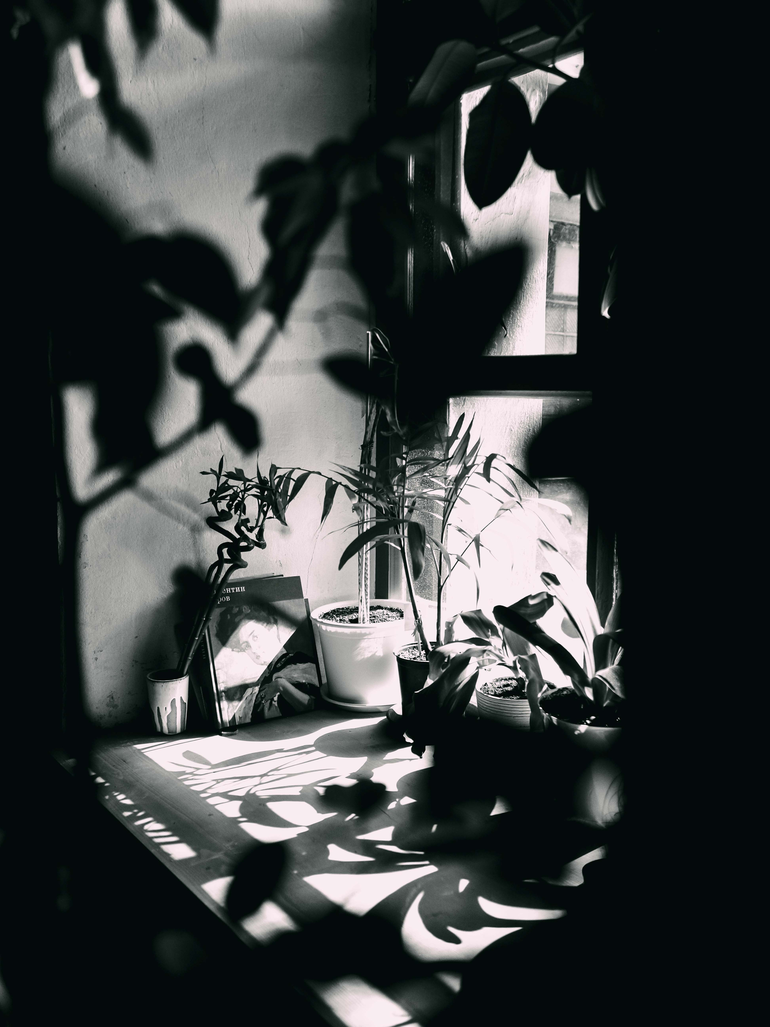 В студии керамики. Фотограф Рязань. Семейный Свадебный фотограф