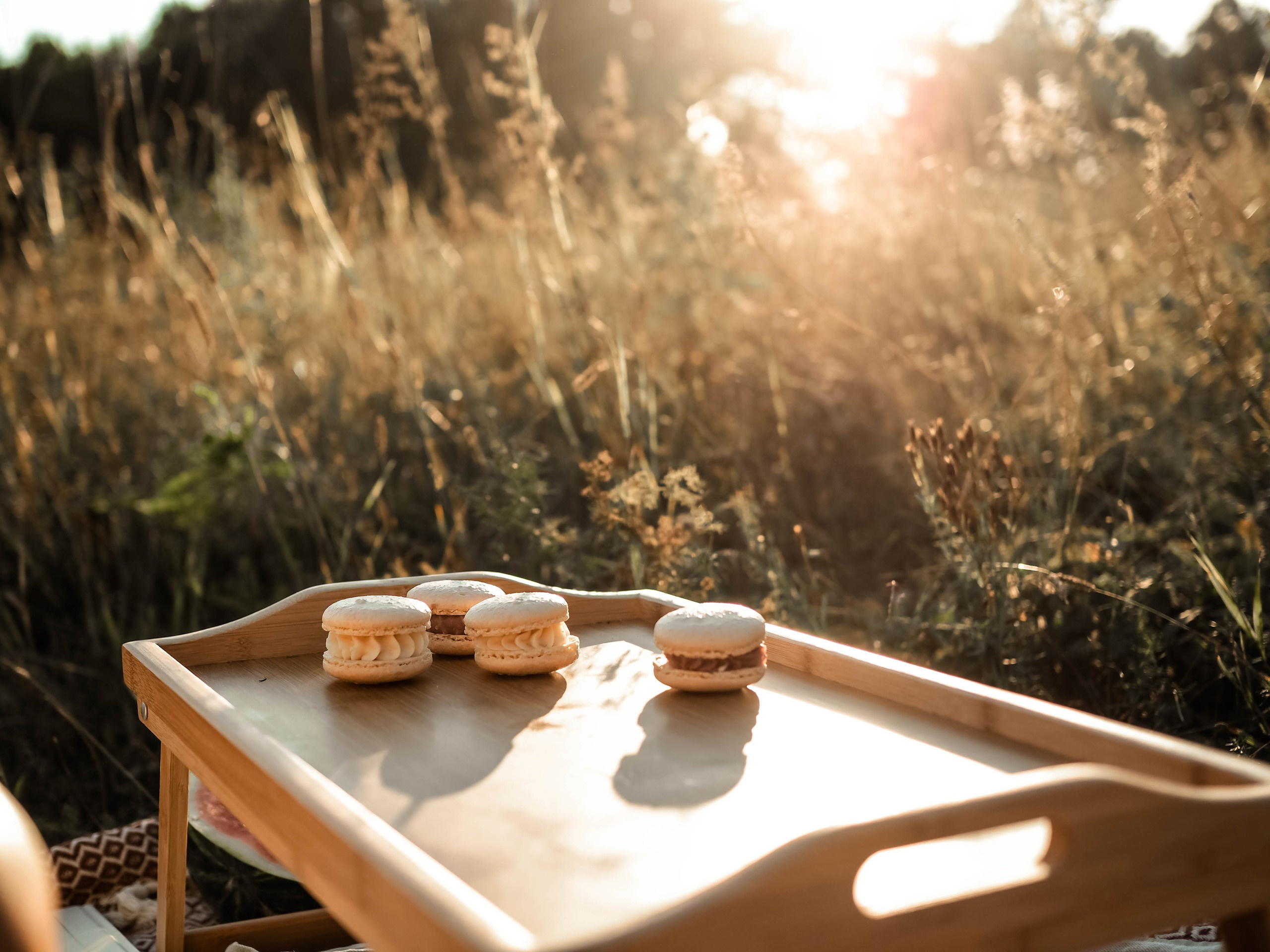 Пикник с подружкой. Фотограф Рязань. Семейный Свадебный фотограф