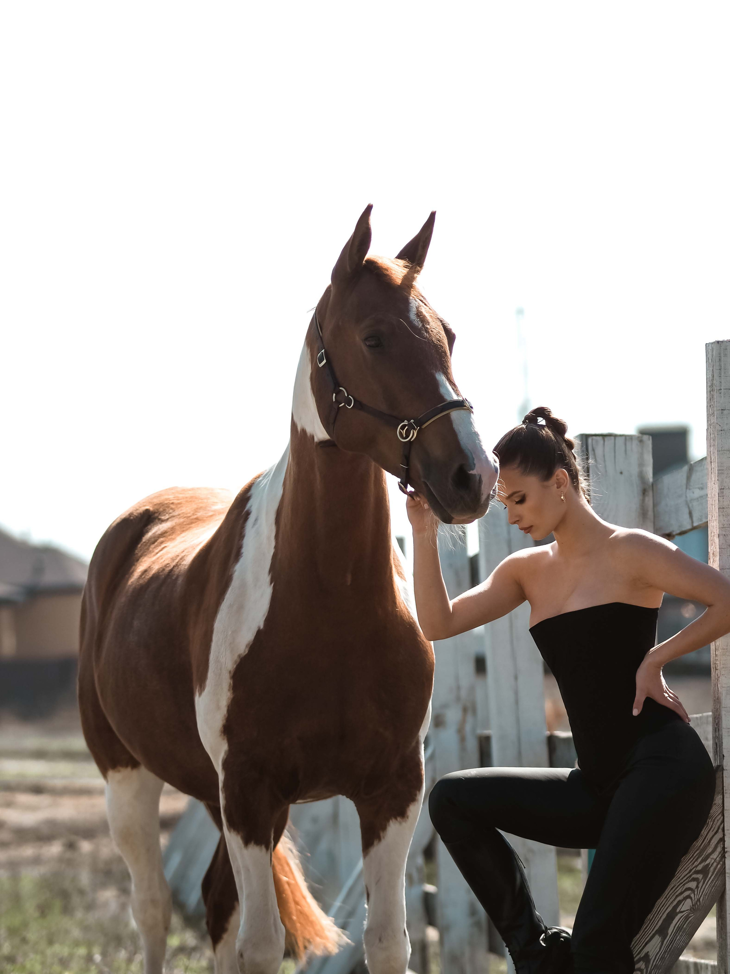 Фотопроект с лошадьми. Фотограф Рязань. Семейный Свадебный фотограф