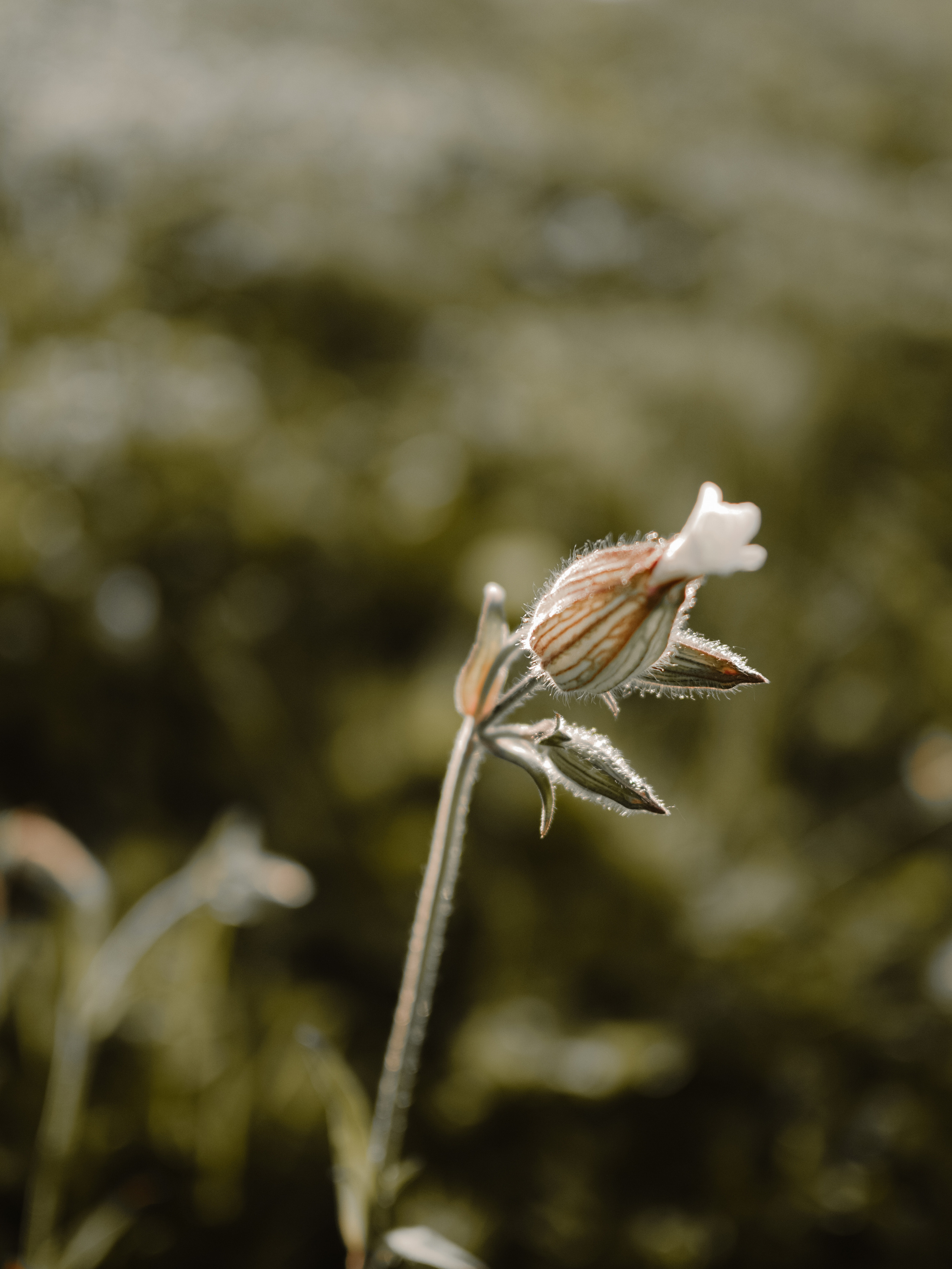 Рыбацкая деревня. Фотограф Рязань. Семейный Свадебный фотограф