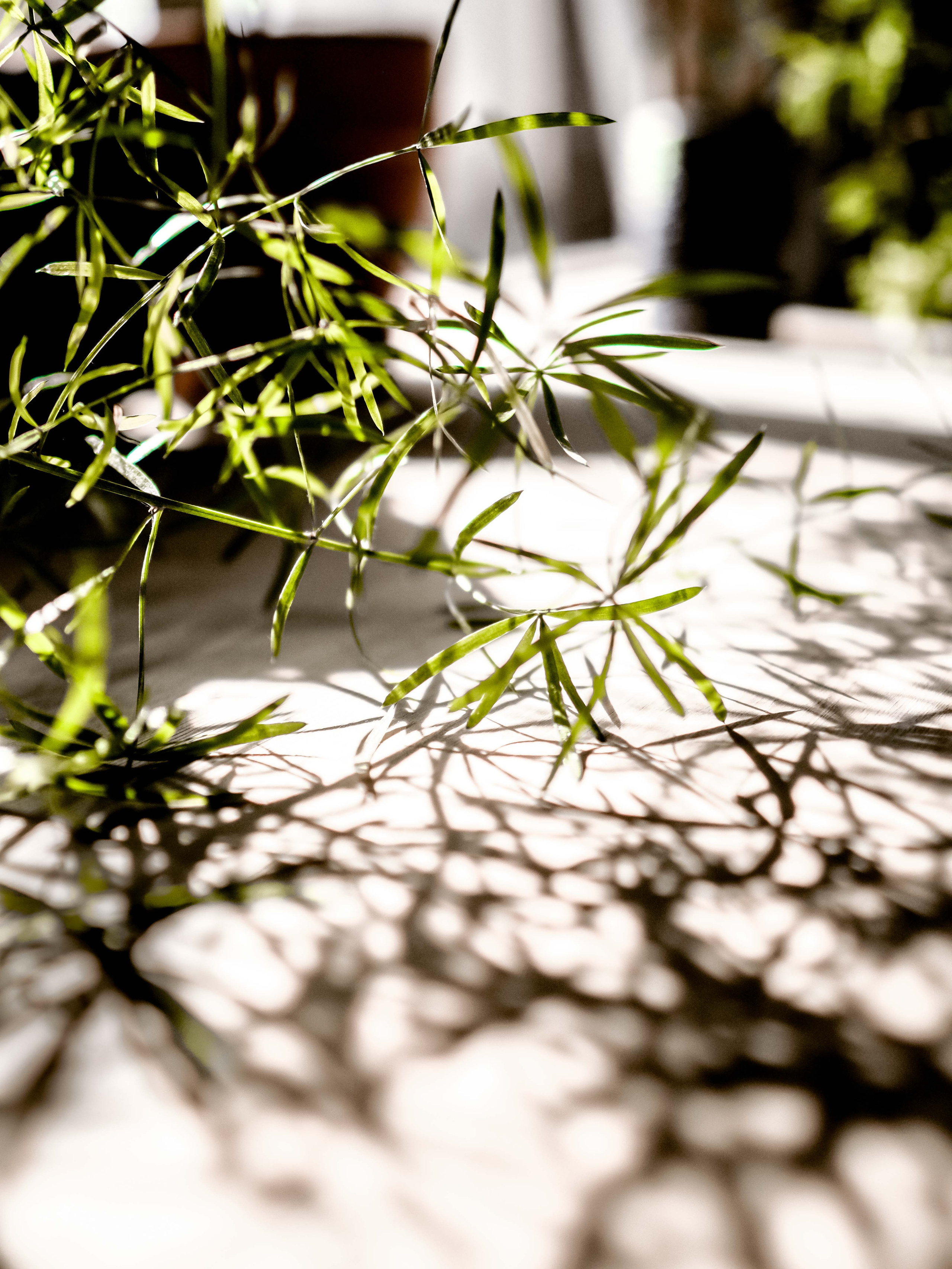 В студии керамики. Фотограф Рязань. Семейный Свадебный фотограф