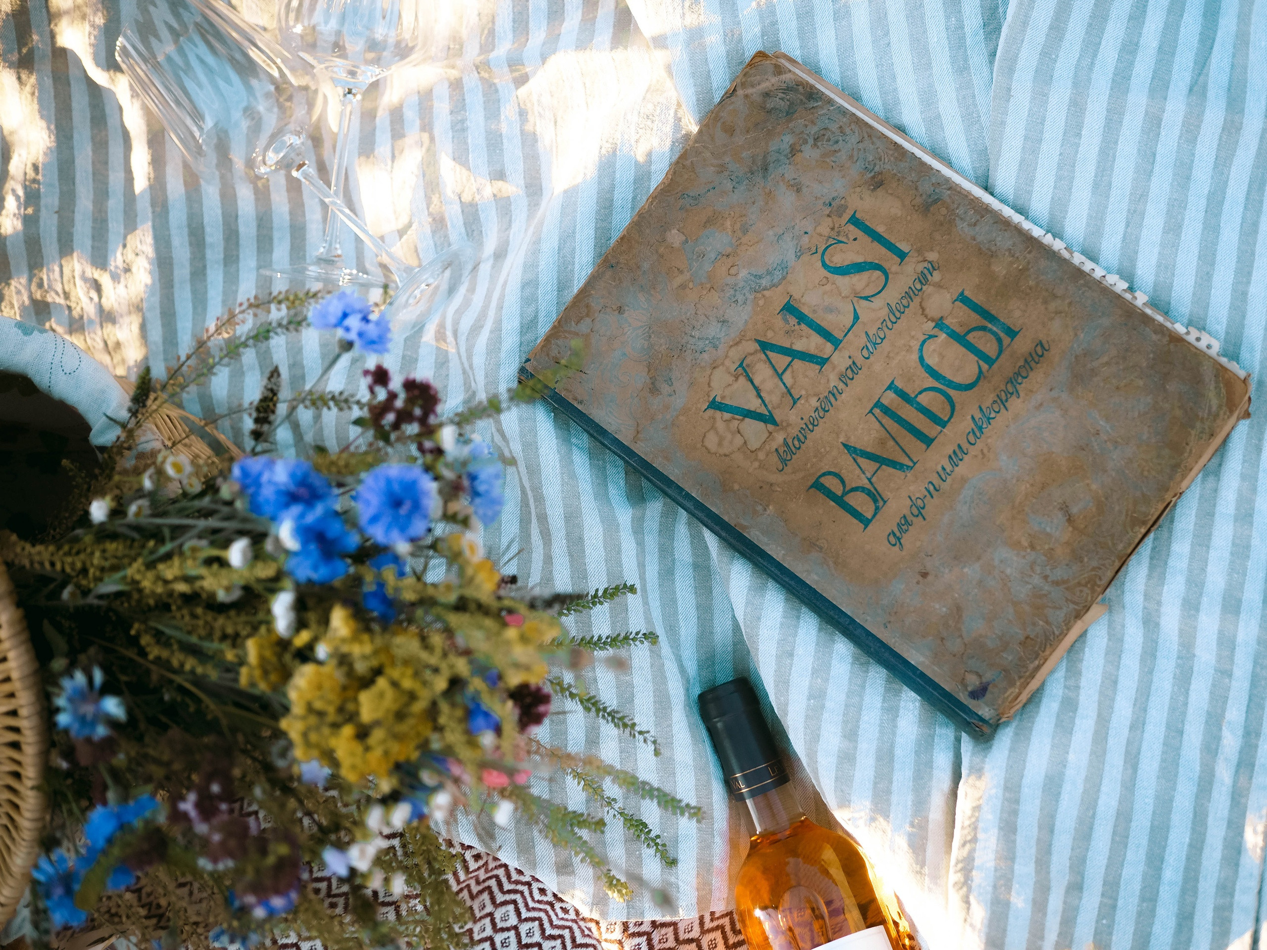 Пикник с подружкой. Фотограф Рязань. Семейный Свадебный фотограф