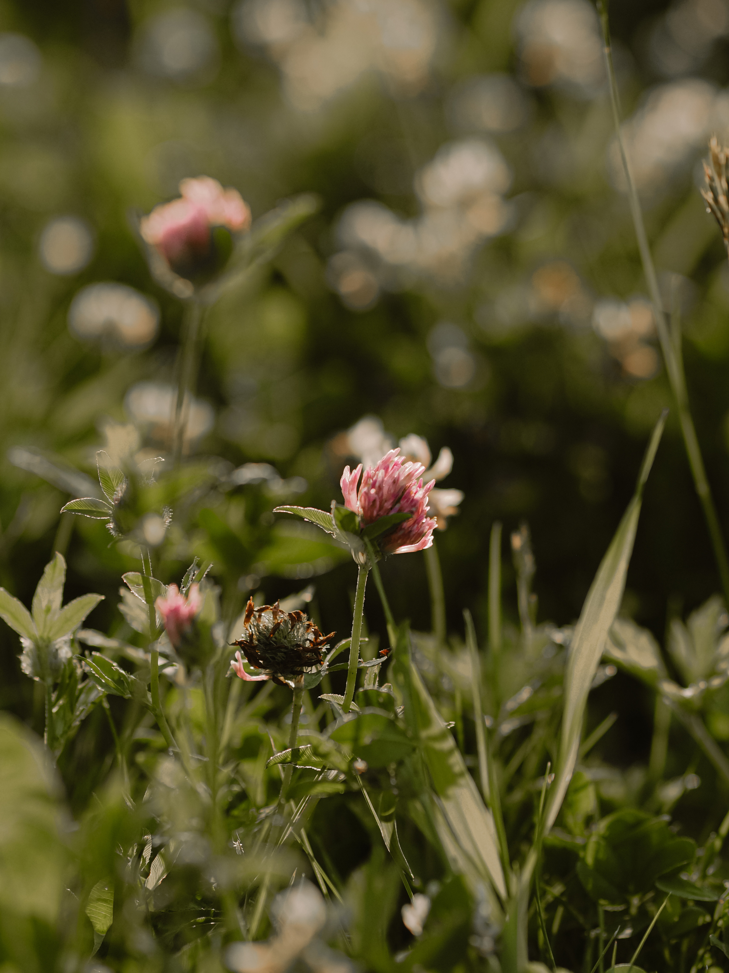 Рыбацкая деревня. Фотограф Рязань. Семейный Свадебный фотограф