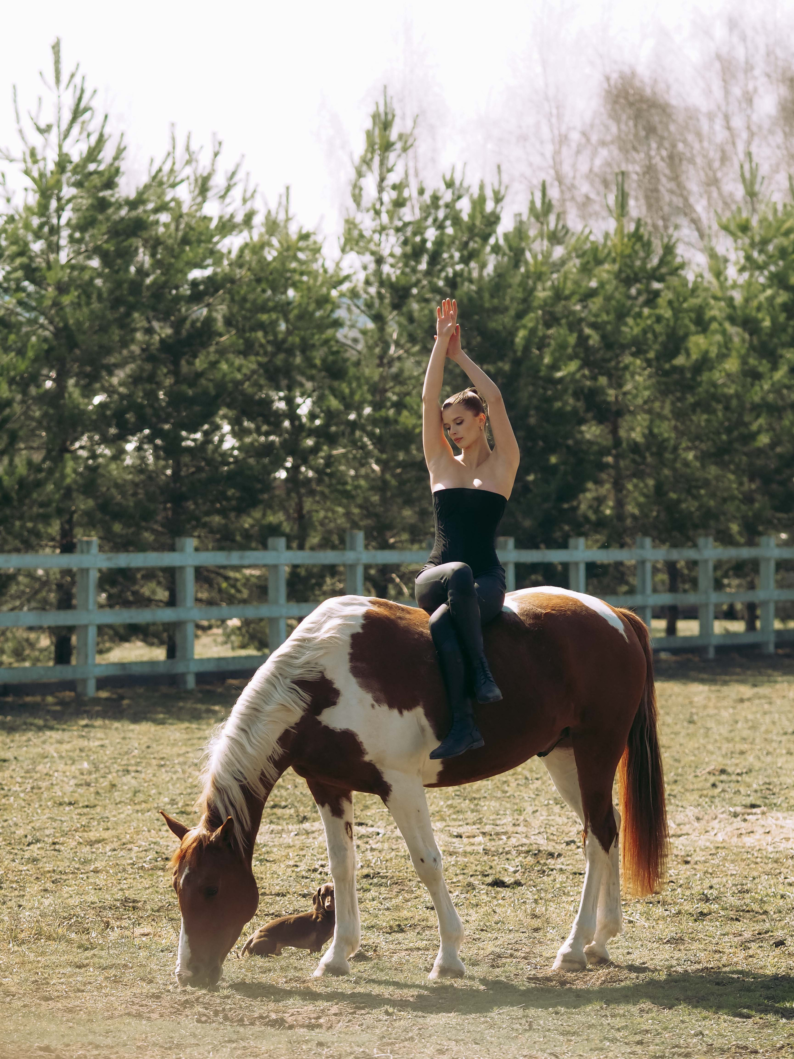 Фотопроект с лошадьми. Фотограф Рязань. Семейный Свадебный фотограф