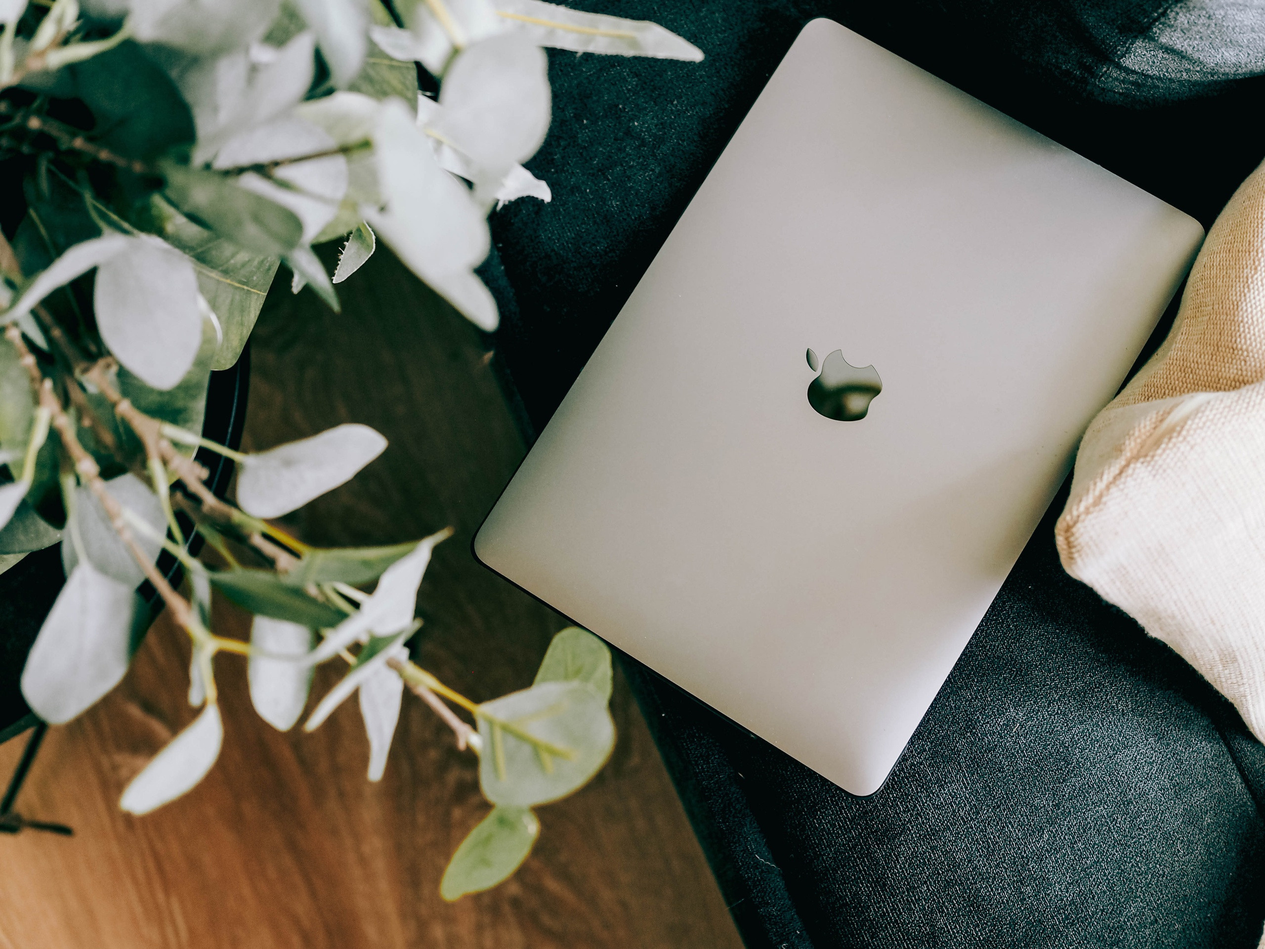 English Coach. Фотограф Рязань. Семейный Свадебный фотограф