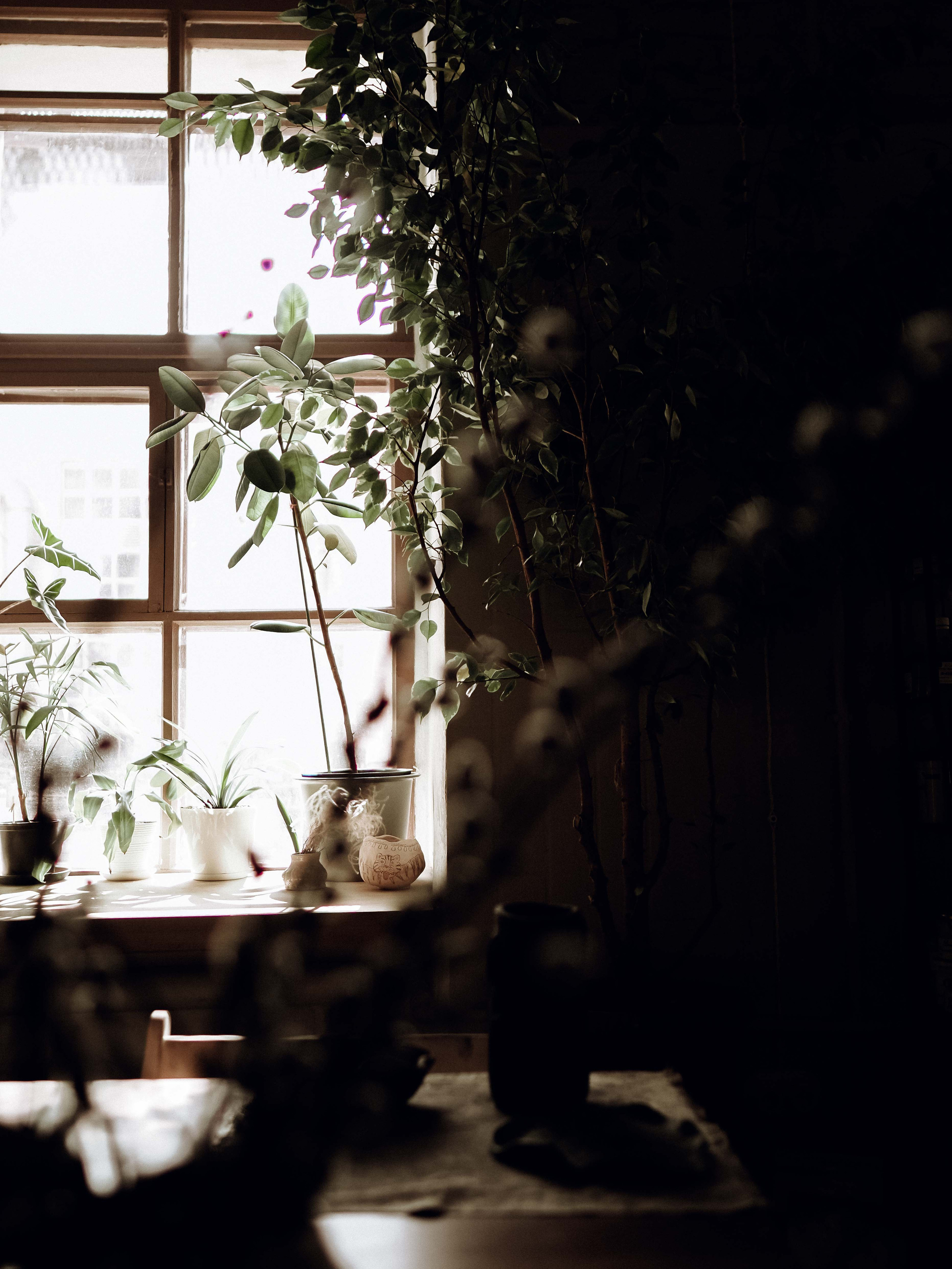 В студии керамики. Фотограф Рязань. Семейный Свадебный фотограф