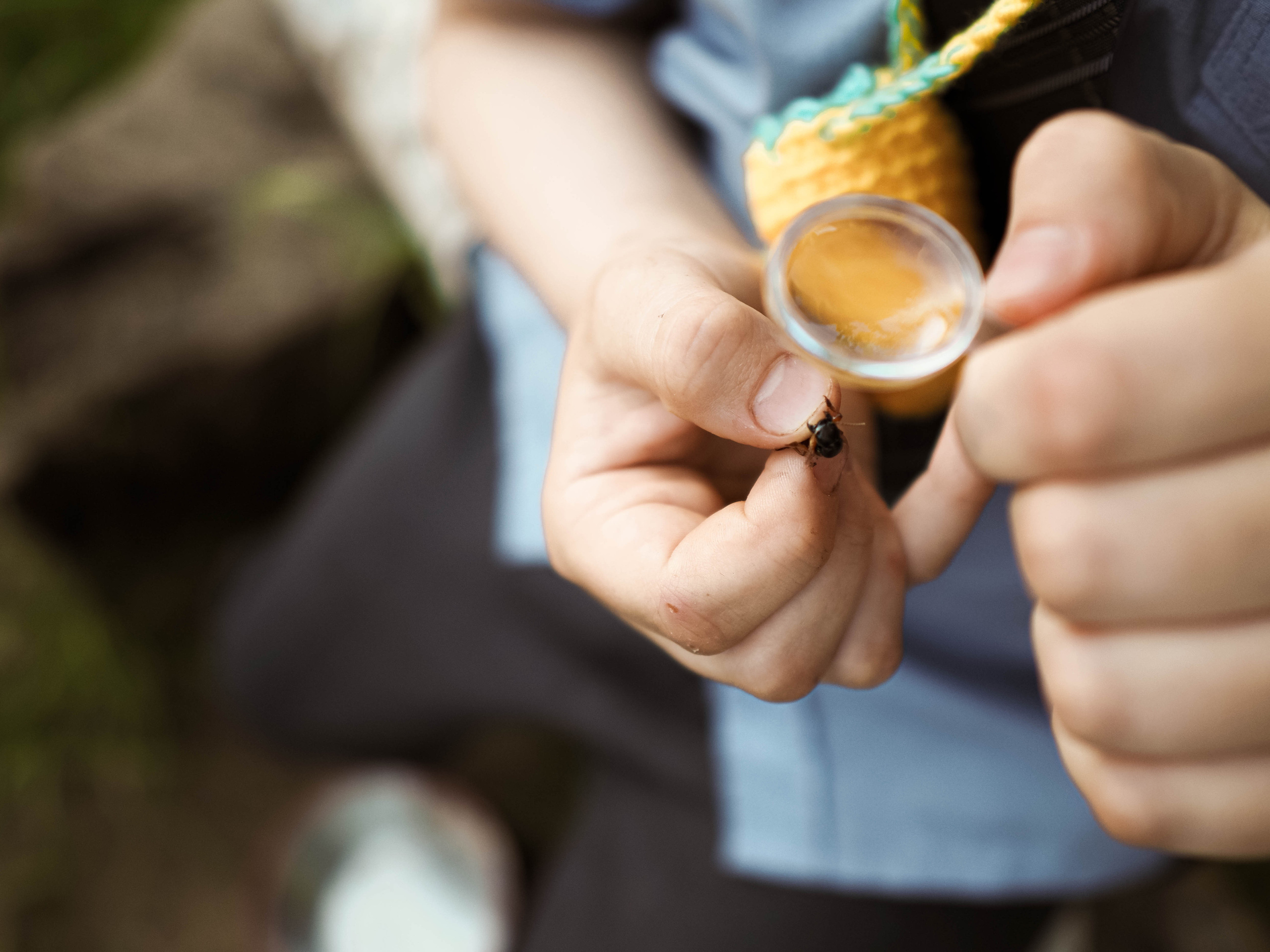 Выпускной. Вальдорфский сад. Фотограф Рязань. Семейный Свадебный фотограф