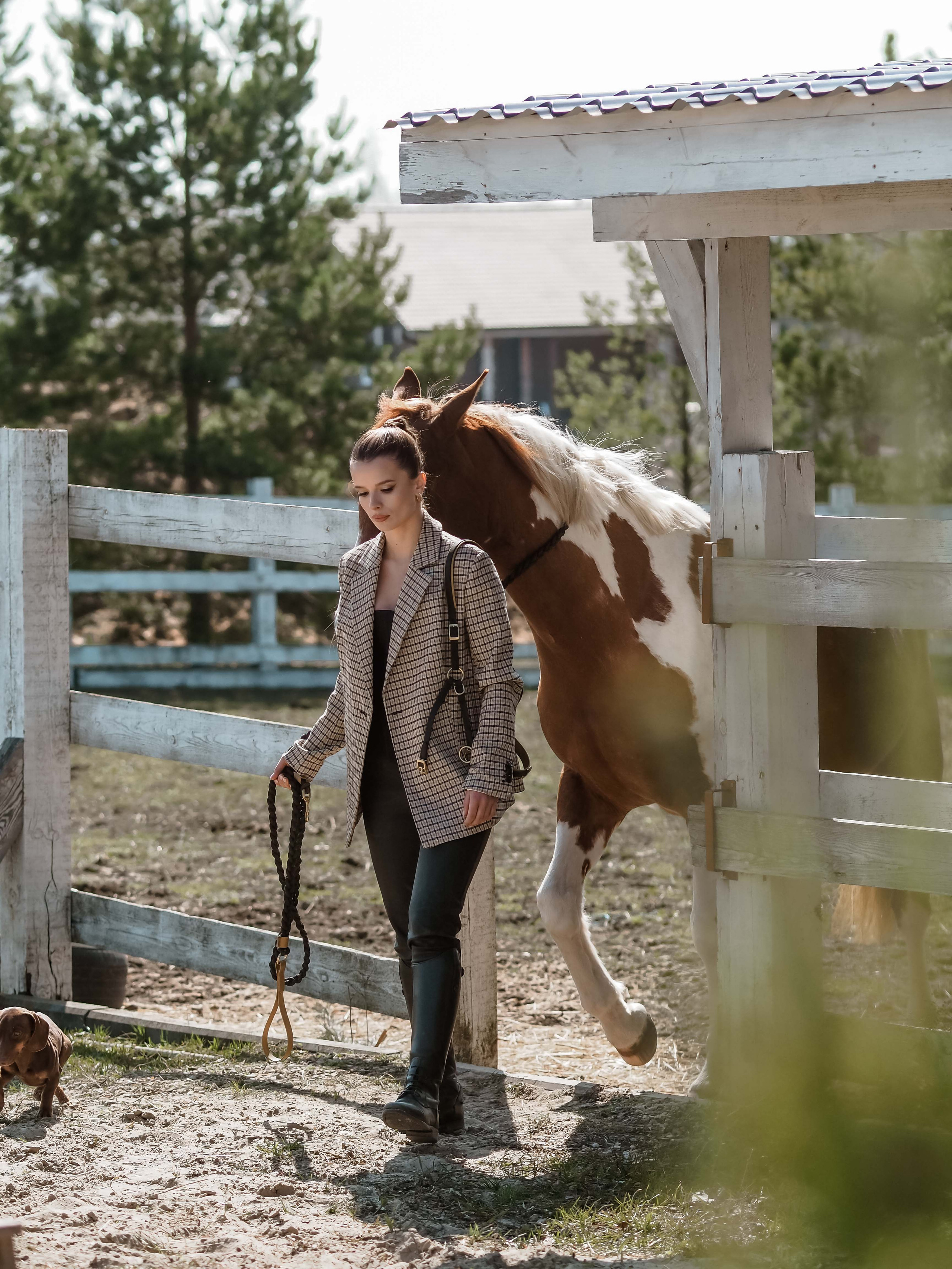 Фотопроект с лошадьми. Фотограф Рязань. Семейный Свадебный фотограф