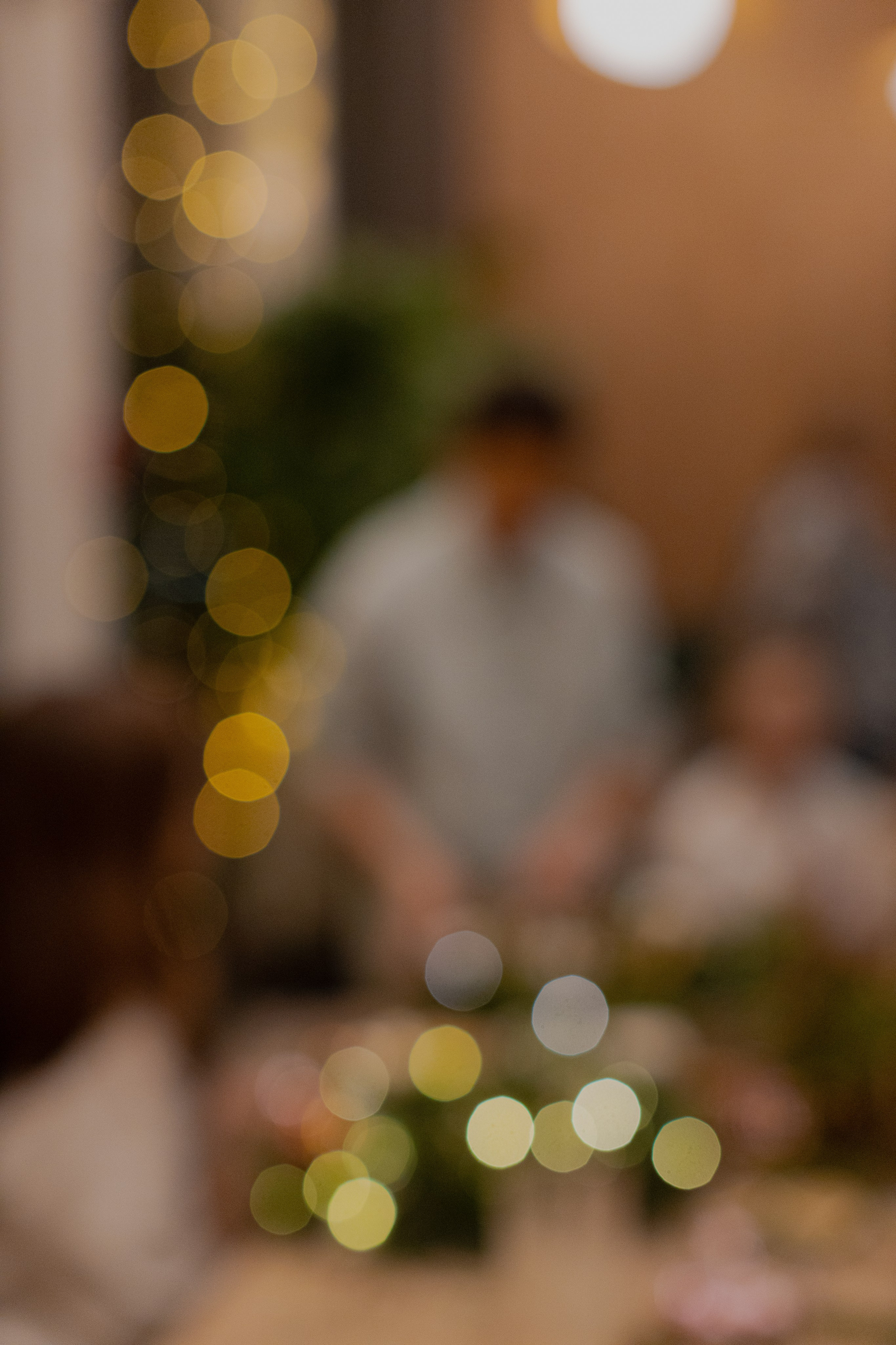 Мк Новогодний Венок. Анастасия Ракчеева Художник