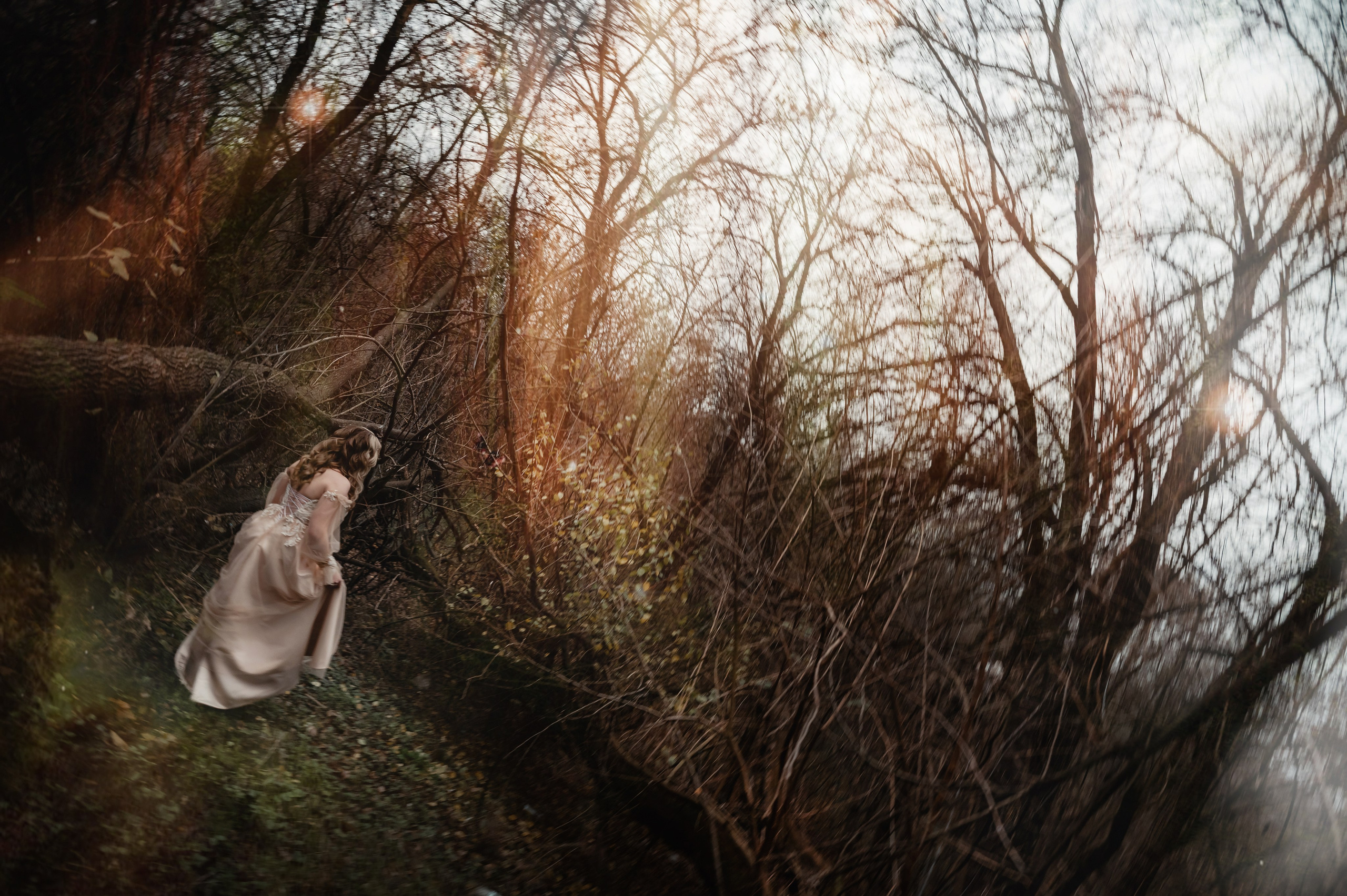 Лесные чудеса. Мариуполь фото. Фотограф Мариуполь.Индивидуальные съёмки. Детские, семейные, коммерческие