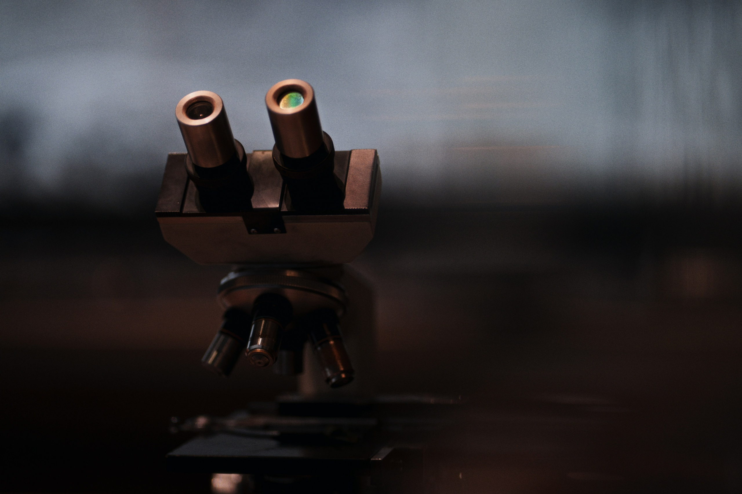 Archaeological Museum / Istanbul, Türkey SS25. Фотограф Юрин Евгений