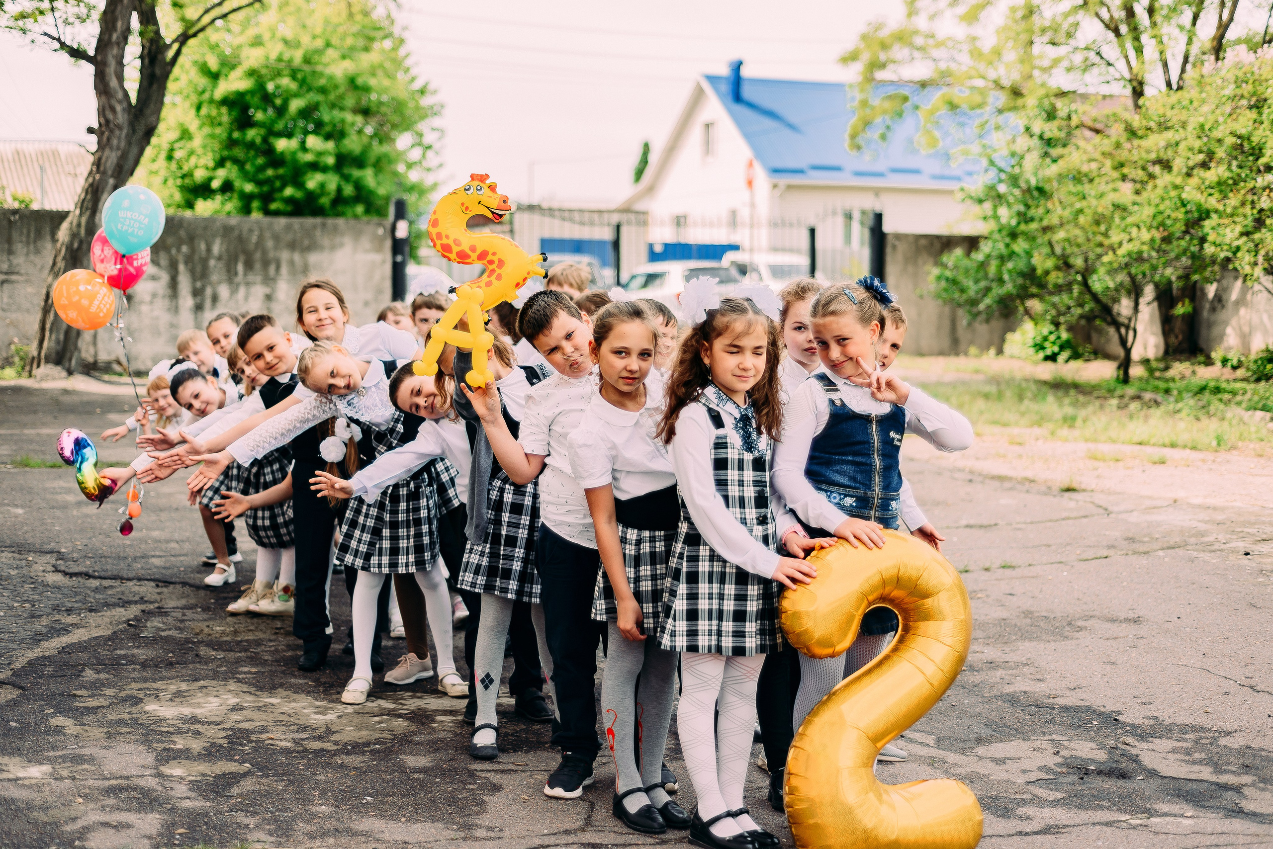 2 «А» | Школа № 17| г. Лиски |2022. ALBUMIA