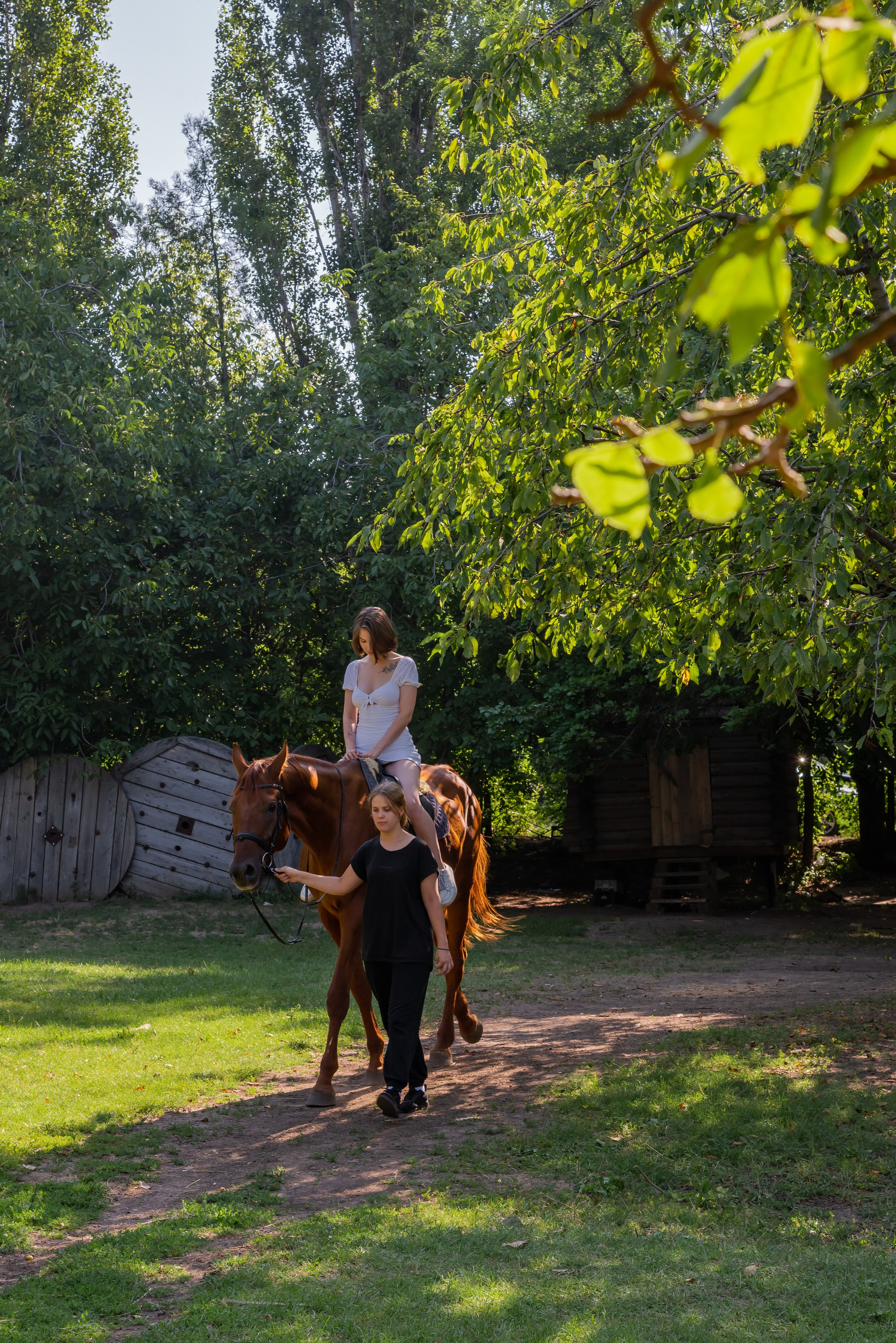 Конная прогулка. Фотограф Галина Нестерова