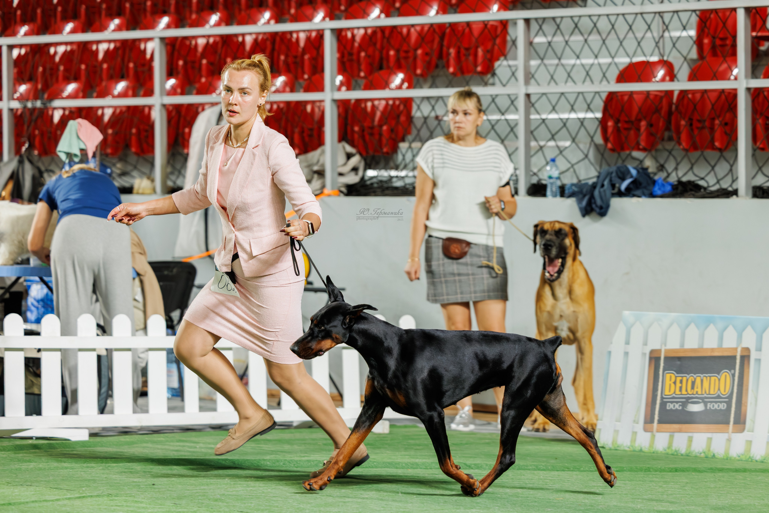 Телави 11-12.10.2025. Фотограф-анималист Юлия Германика