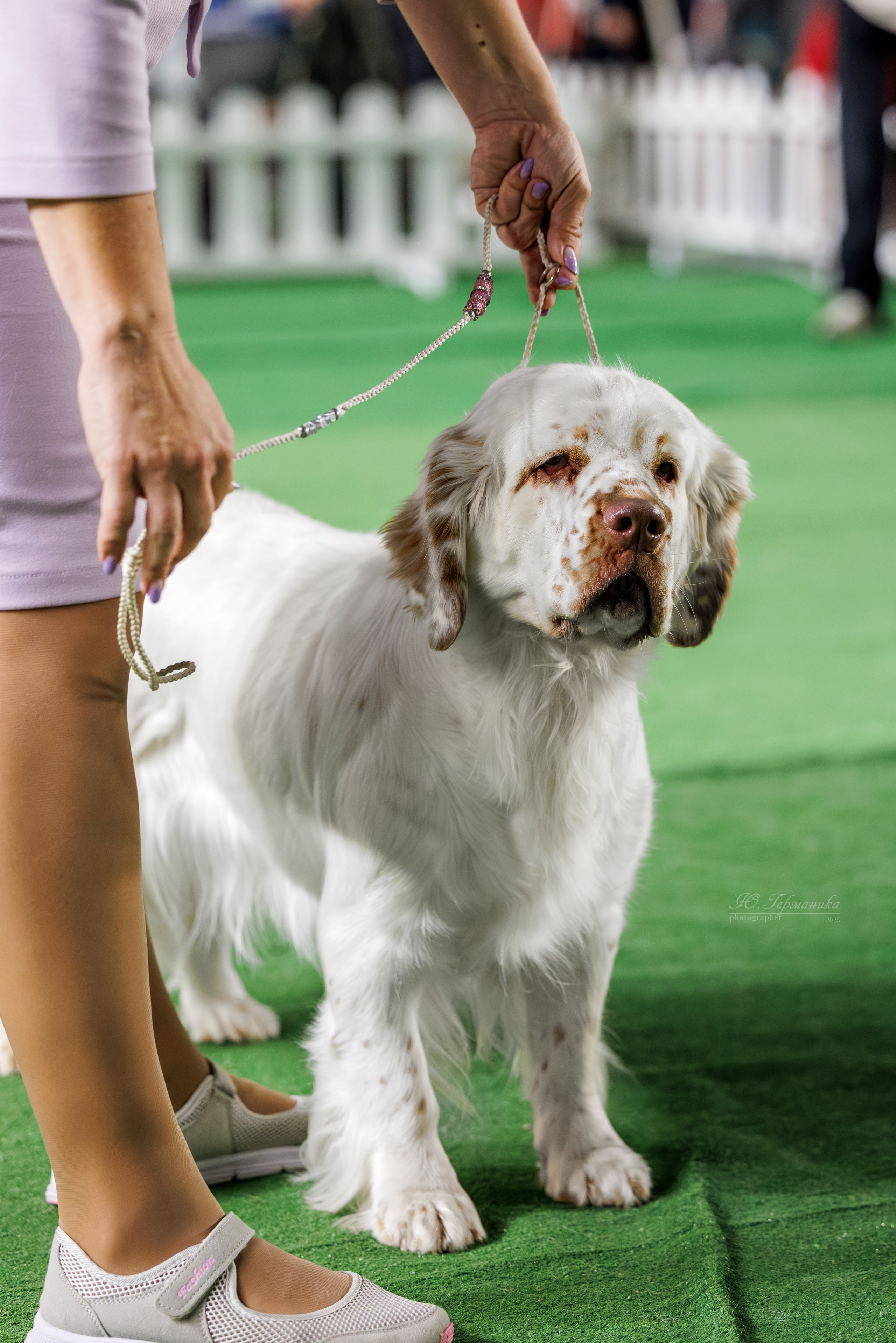 Телави 11-12.10.2025. Фотограф-анималист Юлия Германика