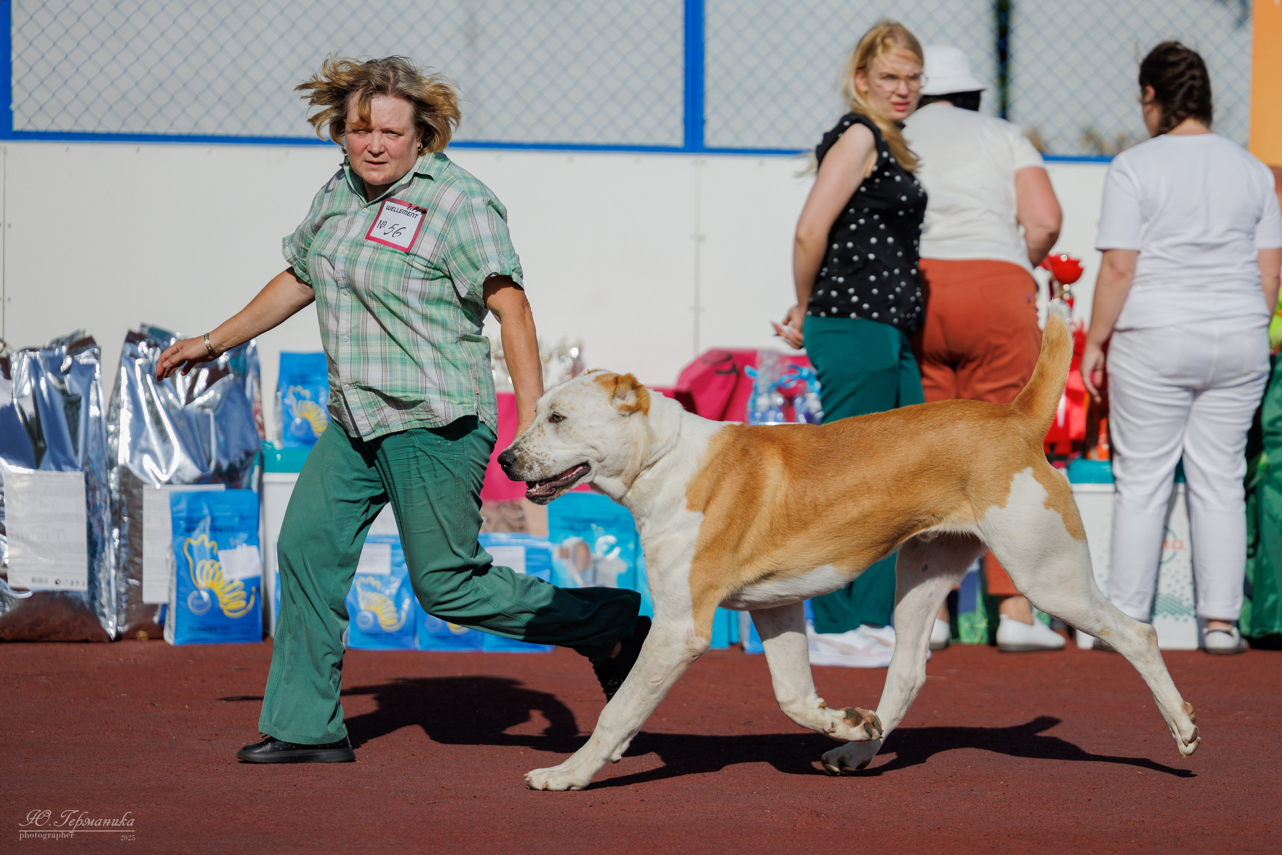 Коломна 30.08.2025. Фотограф-анималист Юлия Германика