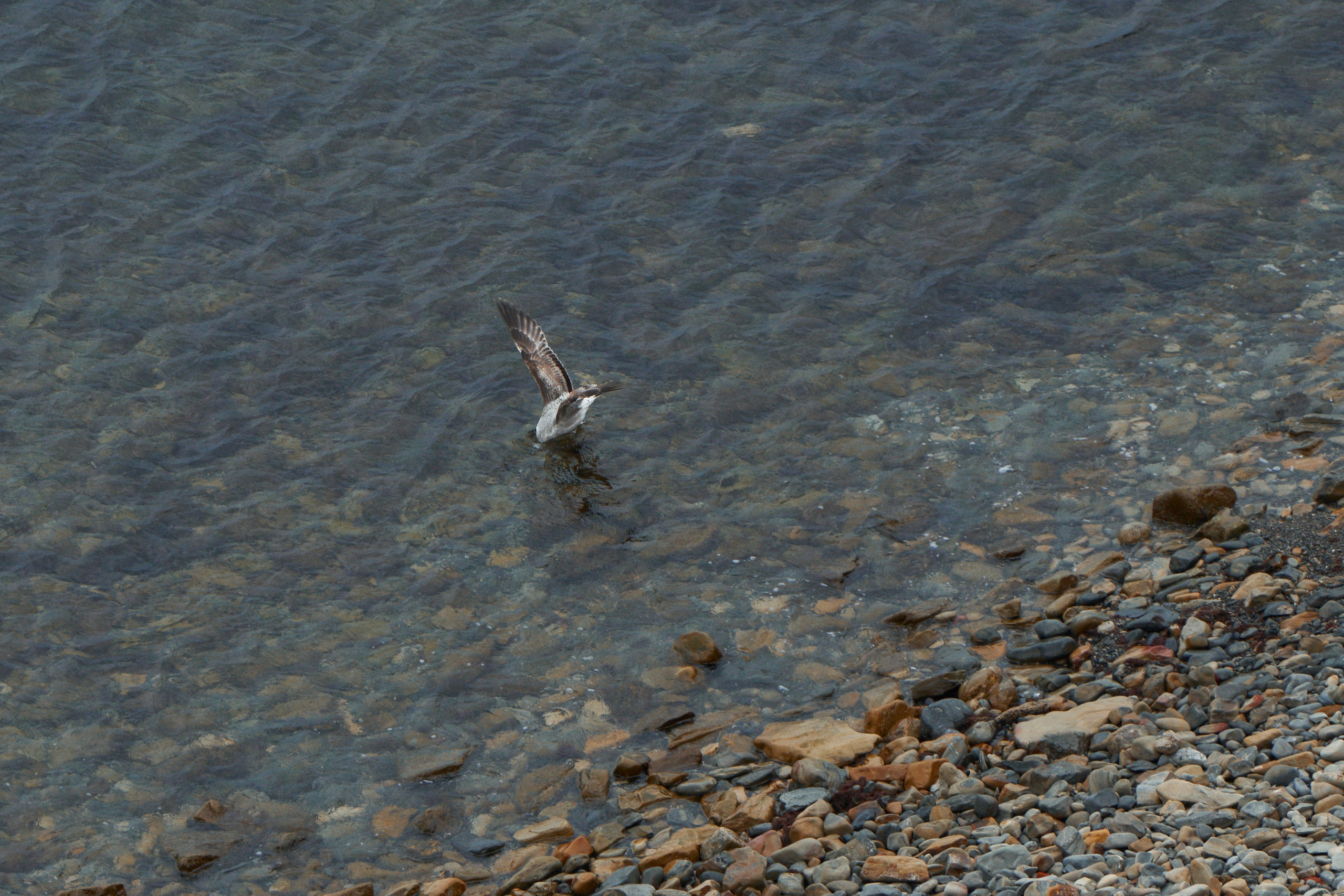 Фотографии улиц и пляжей Анапы. Профессиональный фотограф в Анапе Артем Ковальский