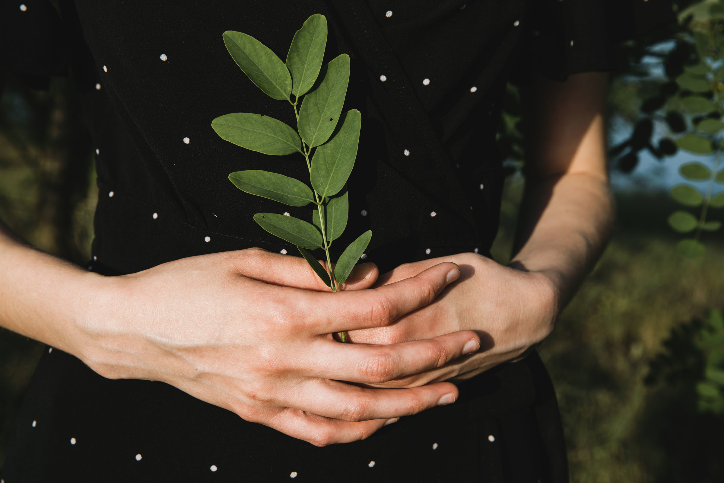 Золотой змей, серебряный ветер// Кристина. Фотограф Алутера Ирина