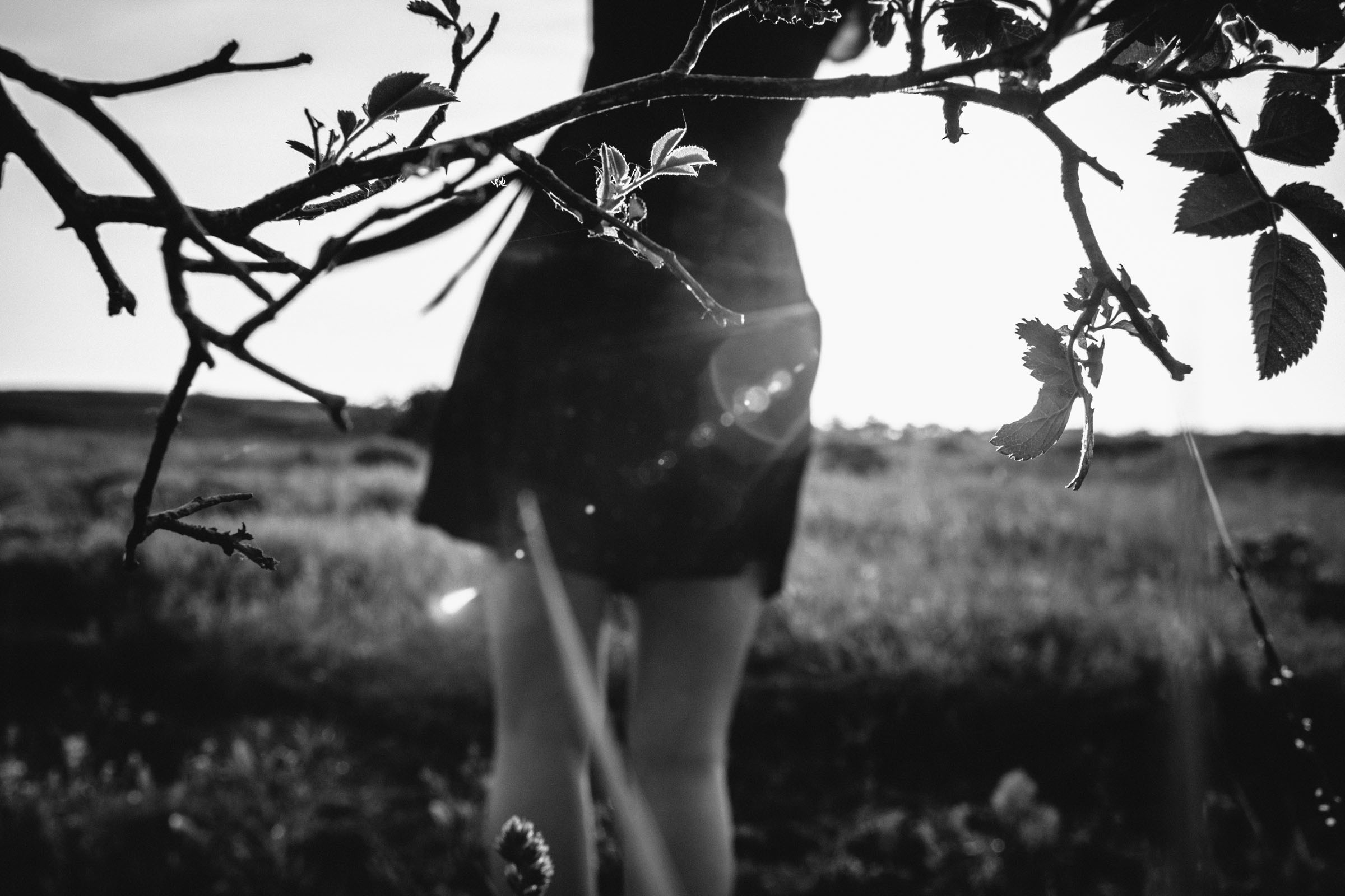 Золотой змей, серебряный ветер// Кристина. Фотограф Алутера Ирина