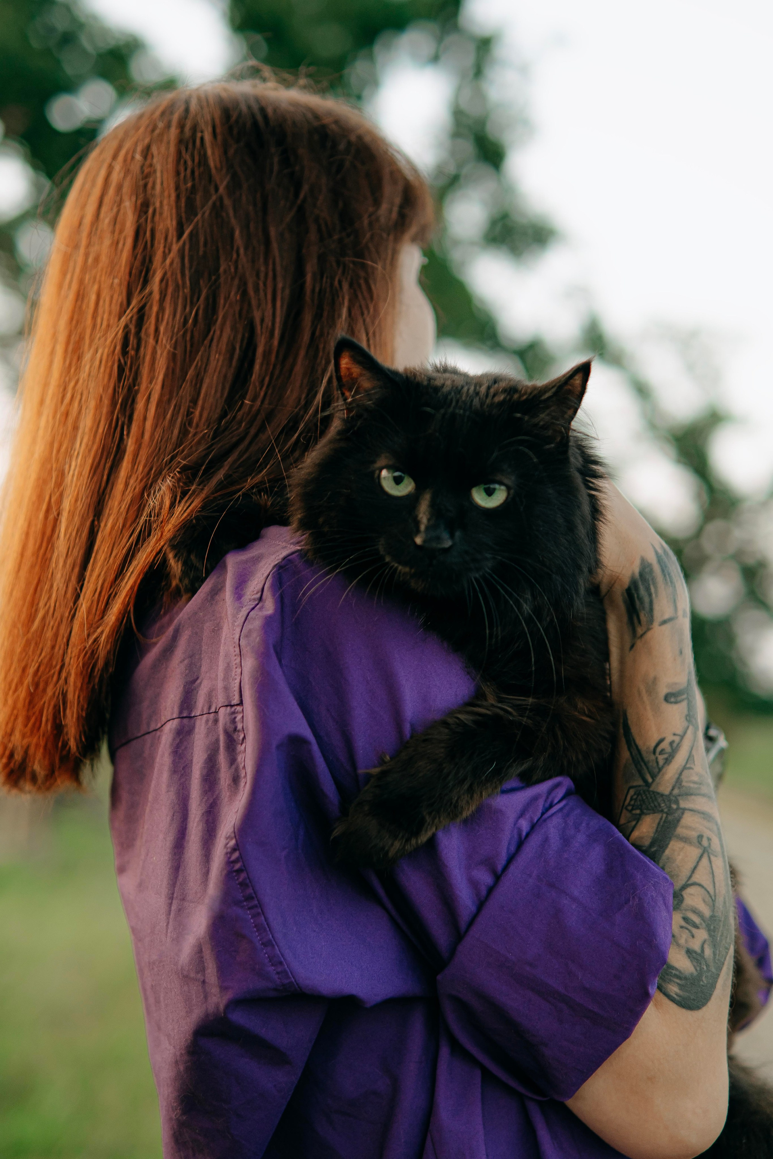 Портреты питомцев. Фотограф и видеограф в Минске Мария Войтик