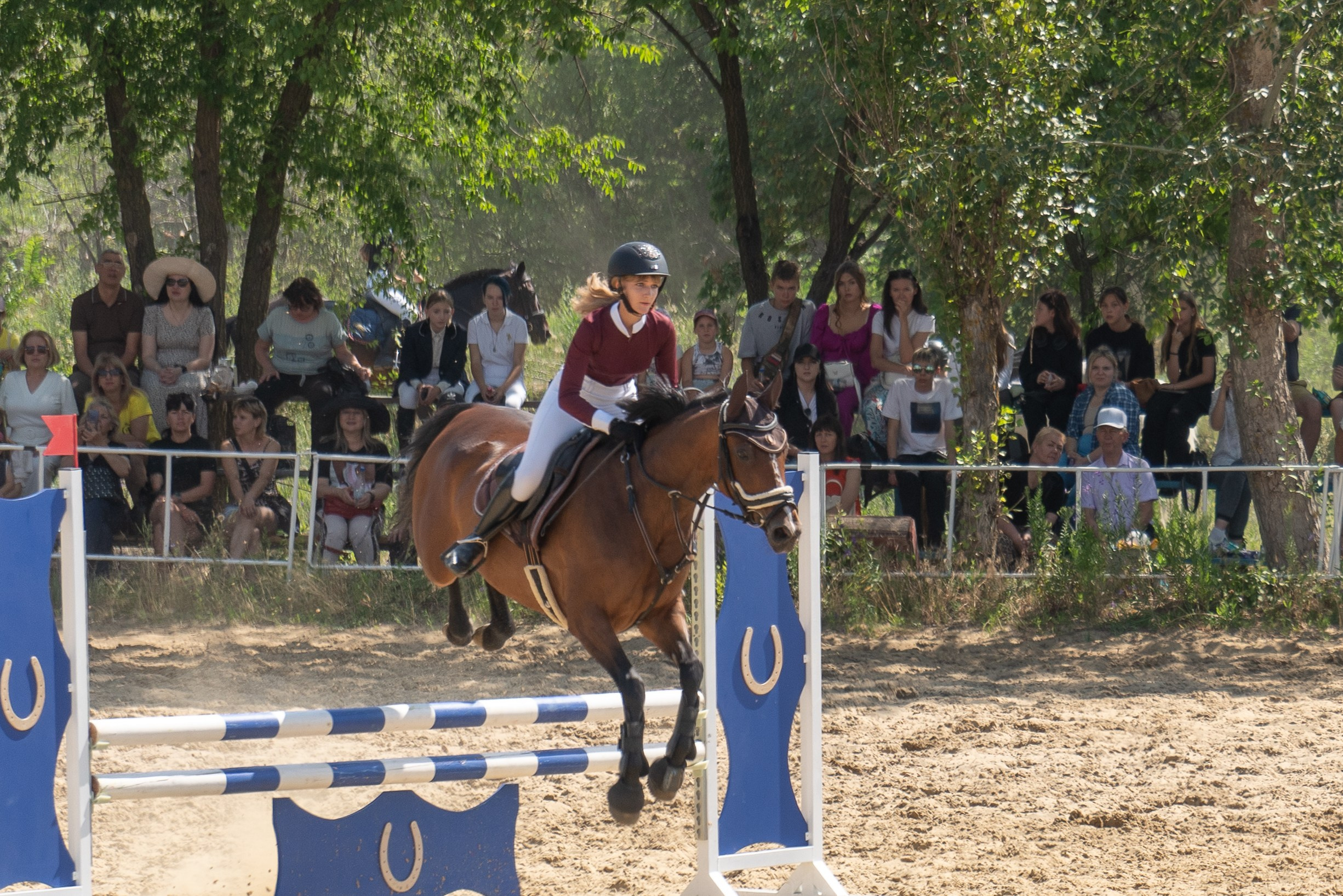 Соревнования по конкуру, Луганск. Фотограф в РФ и ЛНР Юлия Федосеева