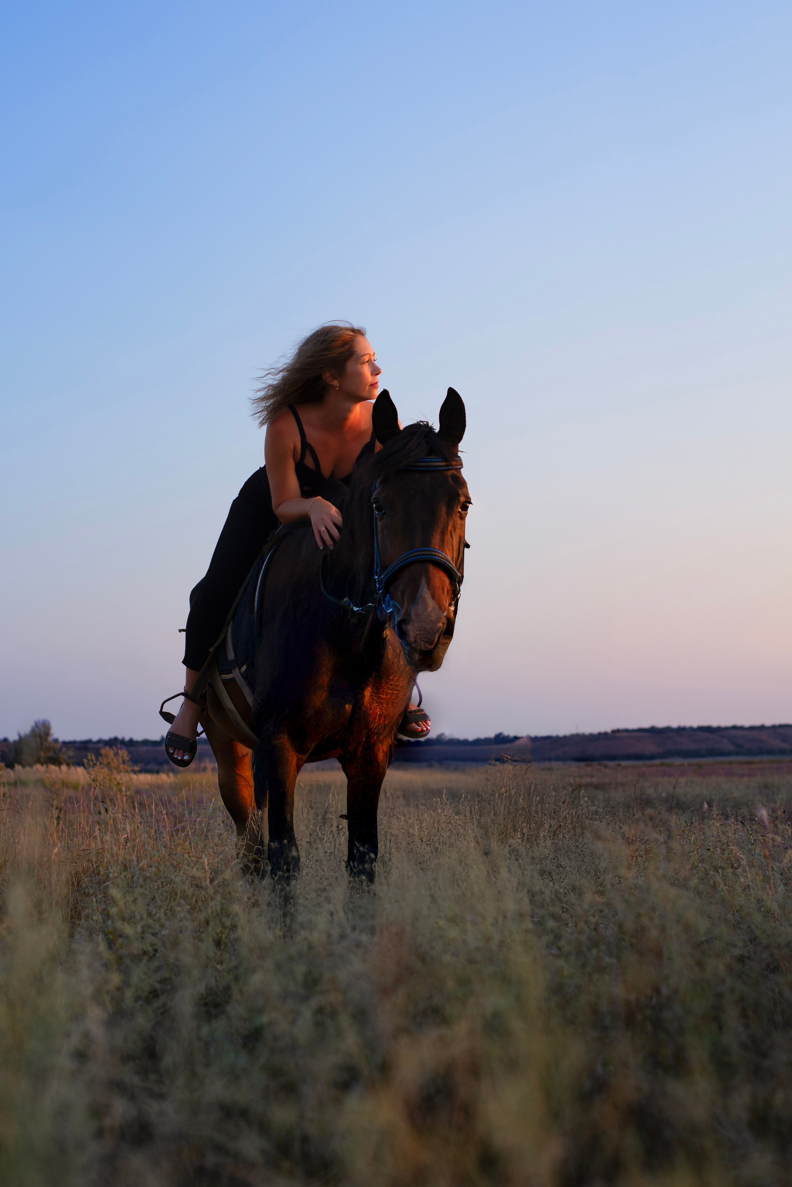 Леди и лошадь. Главная
