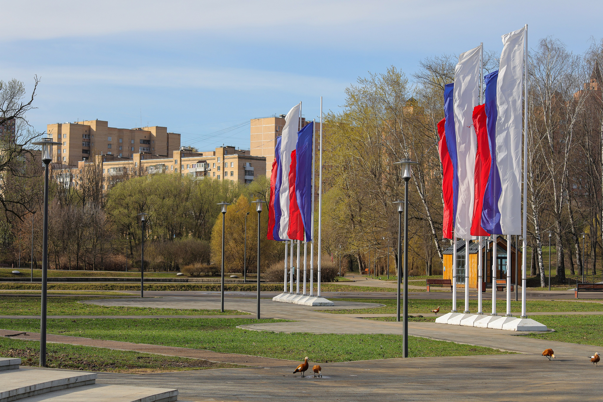 98-й забег, 5 вёрст Дружба, 13 апреля 2024 г. Фотограф Сергей Ловкий