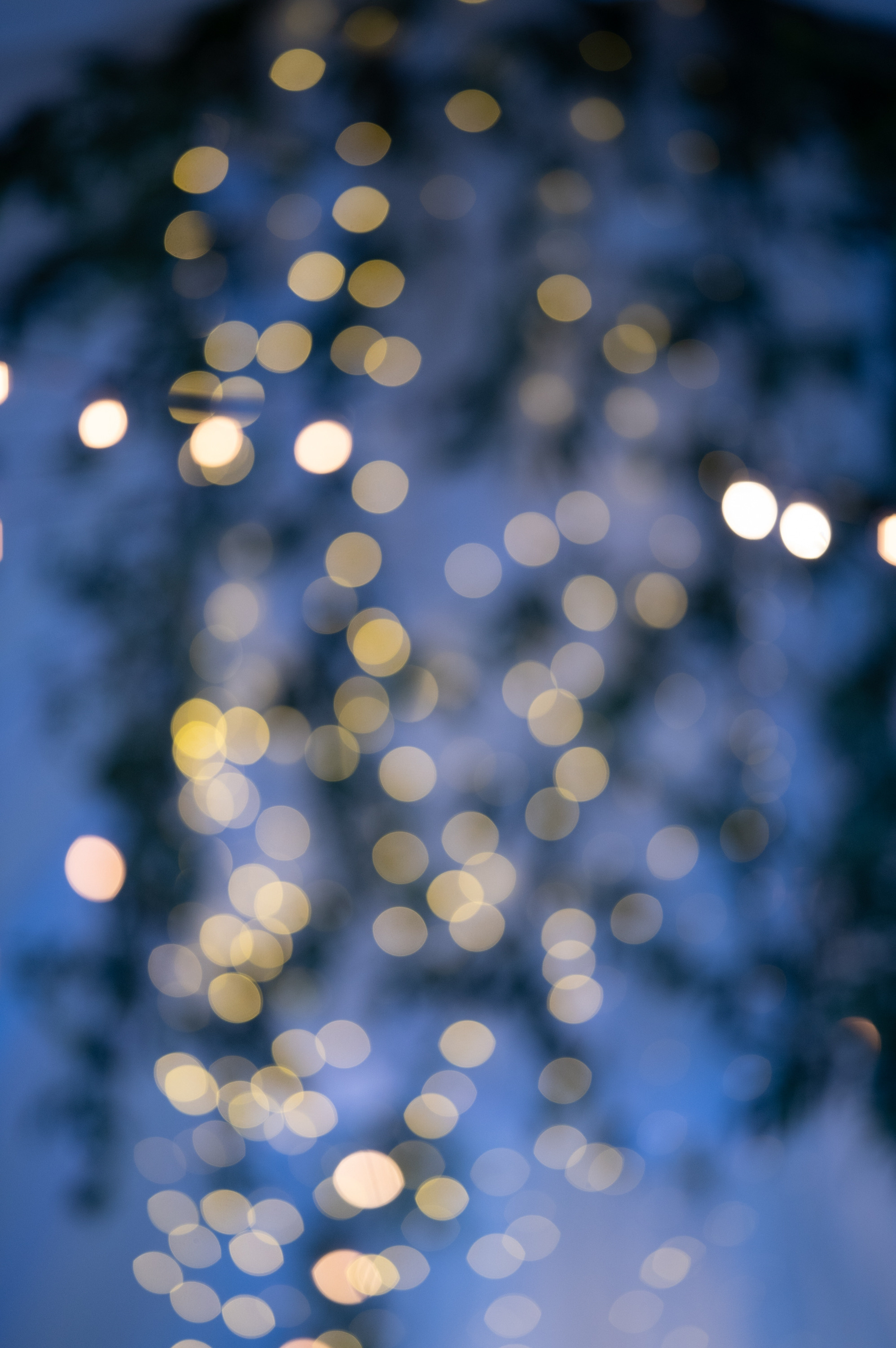 Julia & Zhenya Wedding. Антон Прокопенков Свадебный Фотограф +7(916) 013-35-12