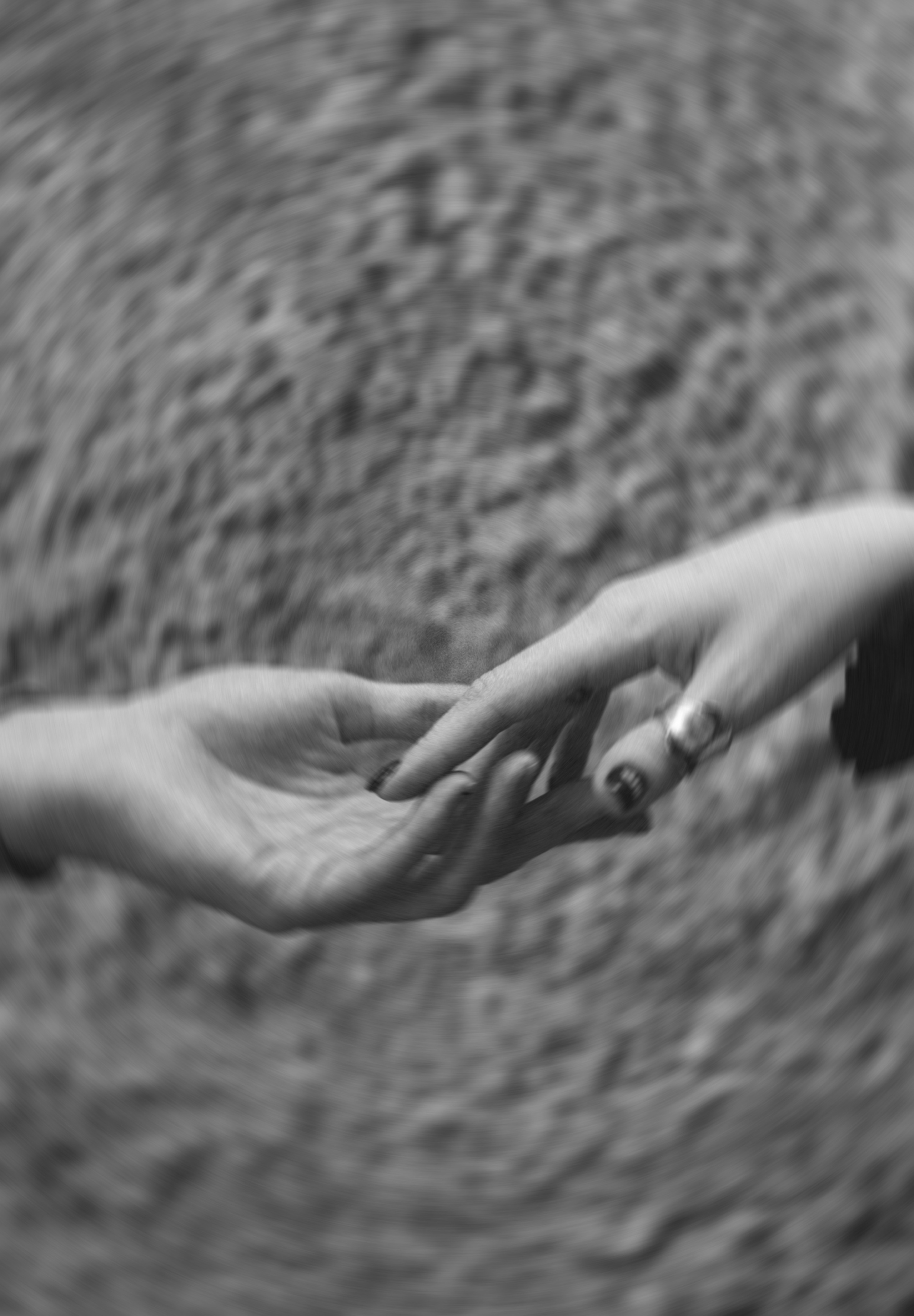 Дима и Мира. Свадебный и семейный фотограф в Чите Юлия Оранская