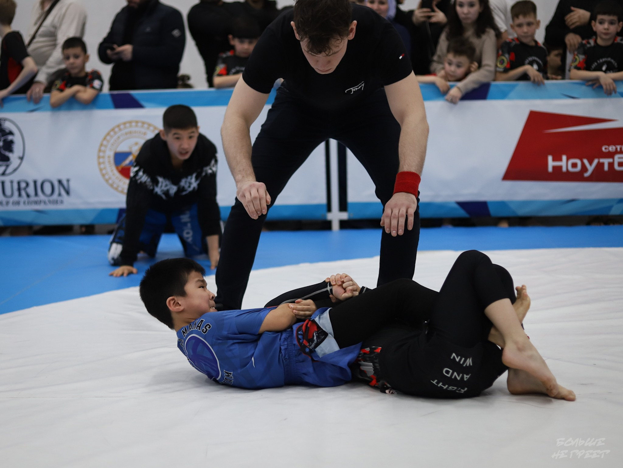 GORILLA PRIDE CUP. Больше не греет