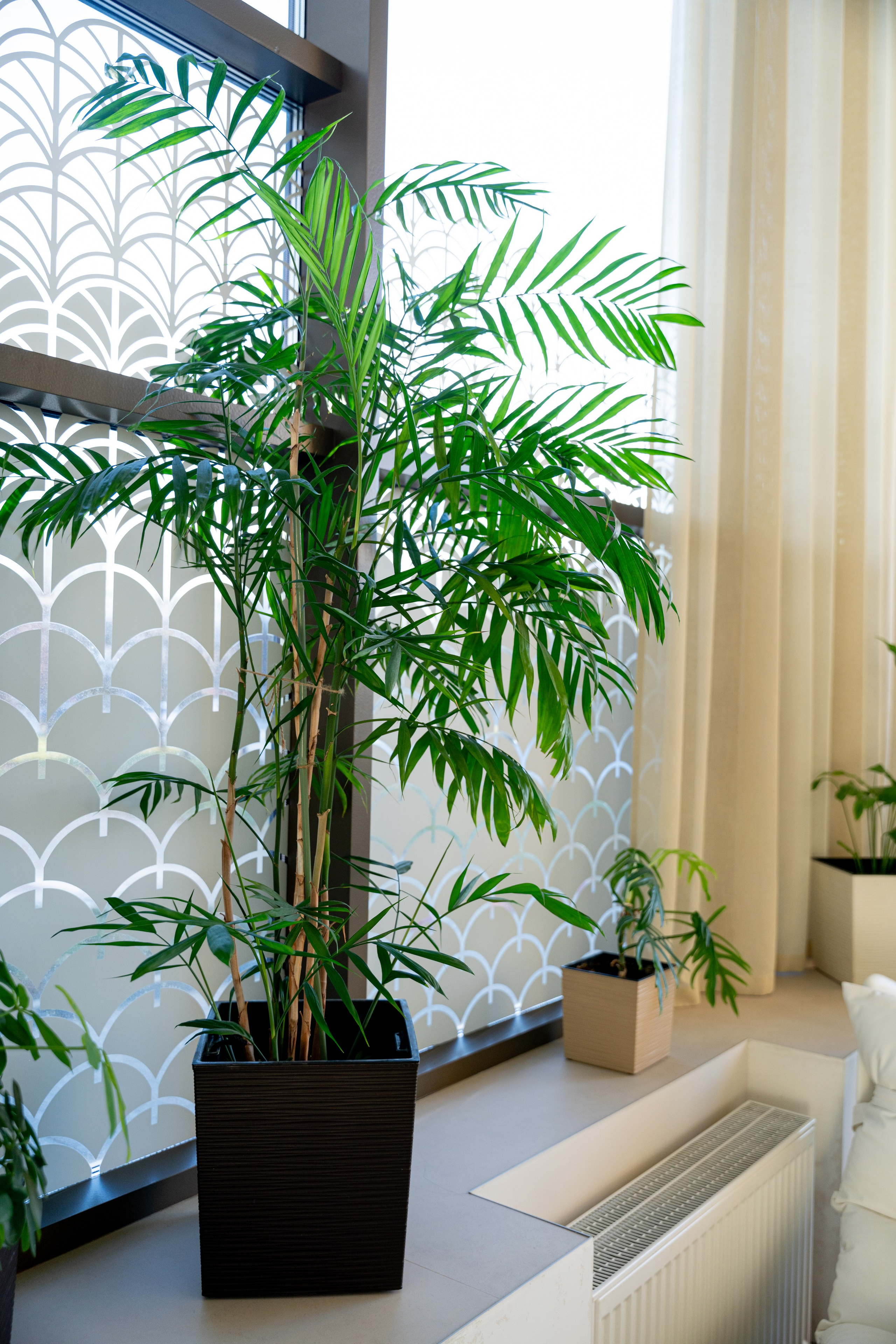 БУТА СПА. Фотограф на любое мероприятие