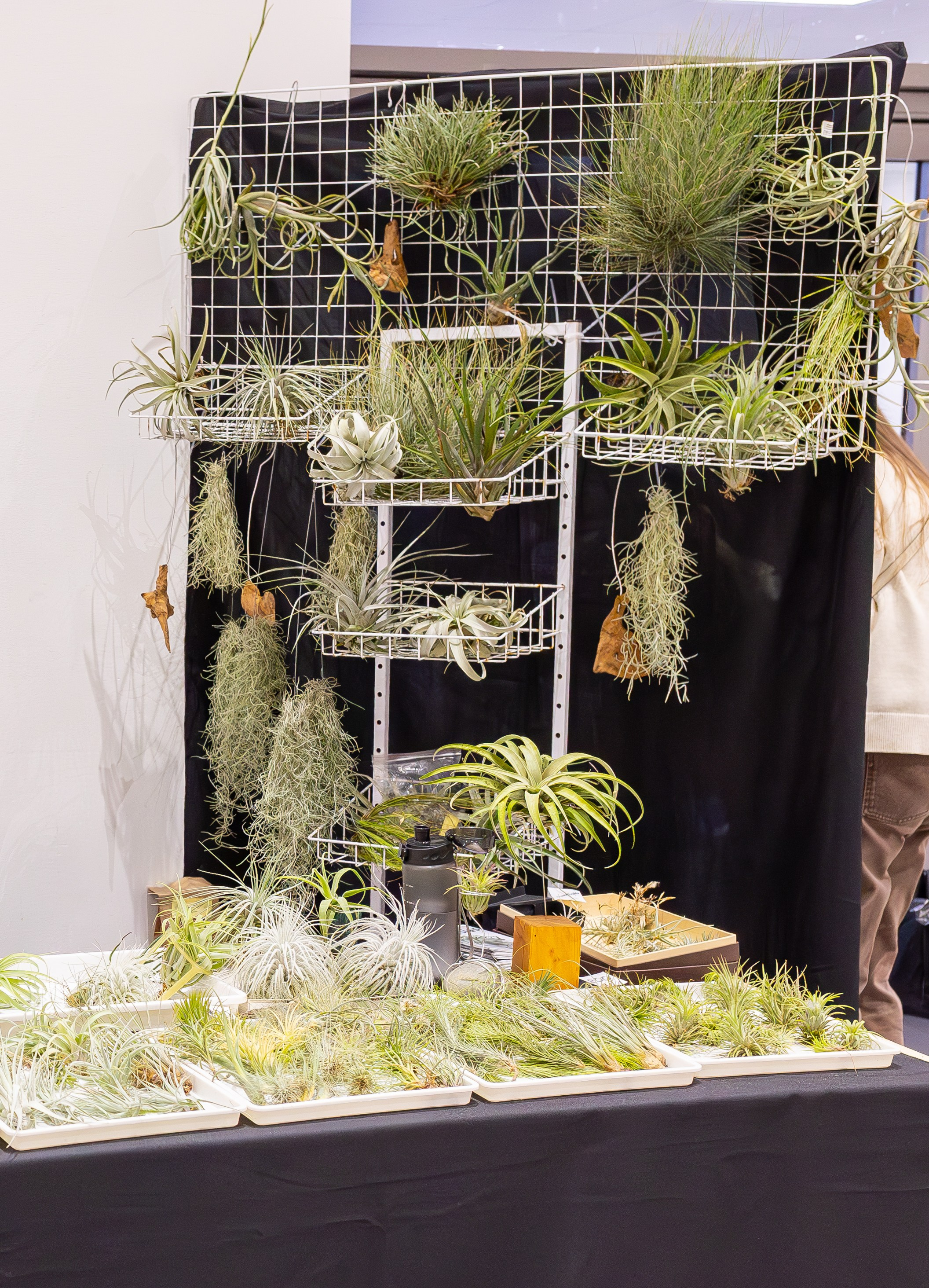 Монстериум 11–12 октября. Александра Куликова фотограф, Москва