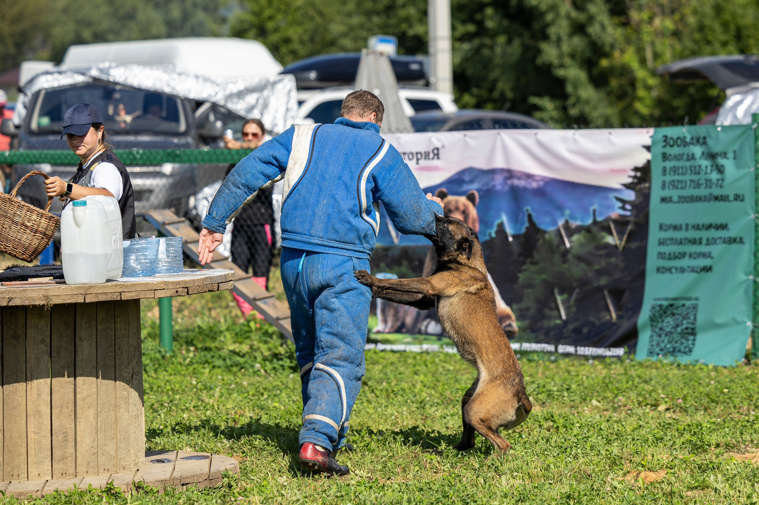 Соревнования по Мондьорингу г. Вологда 10-11.08.2024. Фотограф-анималист Анна Маринич