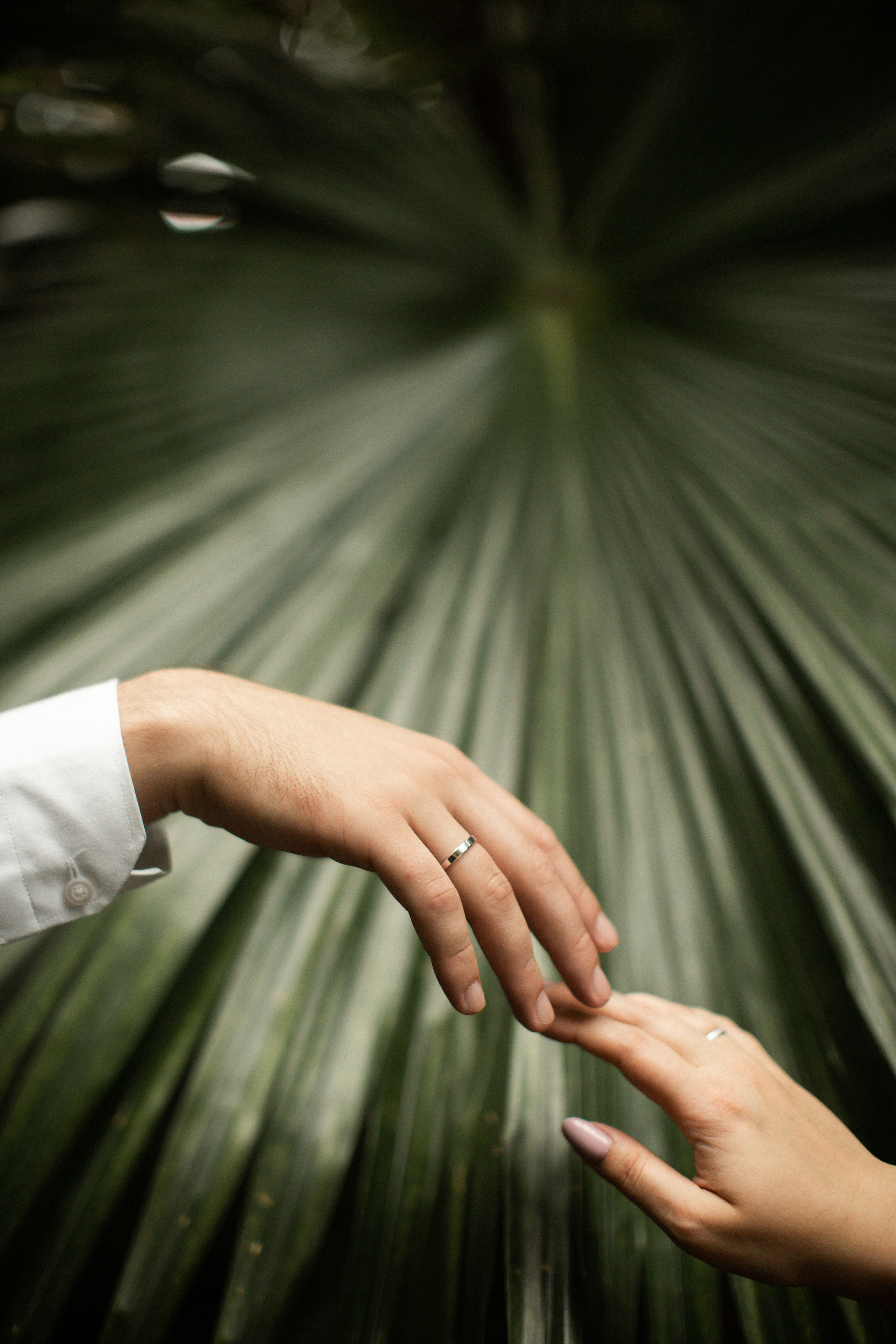 Фотограф НатаФото (Наталья Яковенко) Дмитров Москва Питер