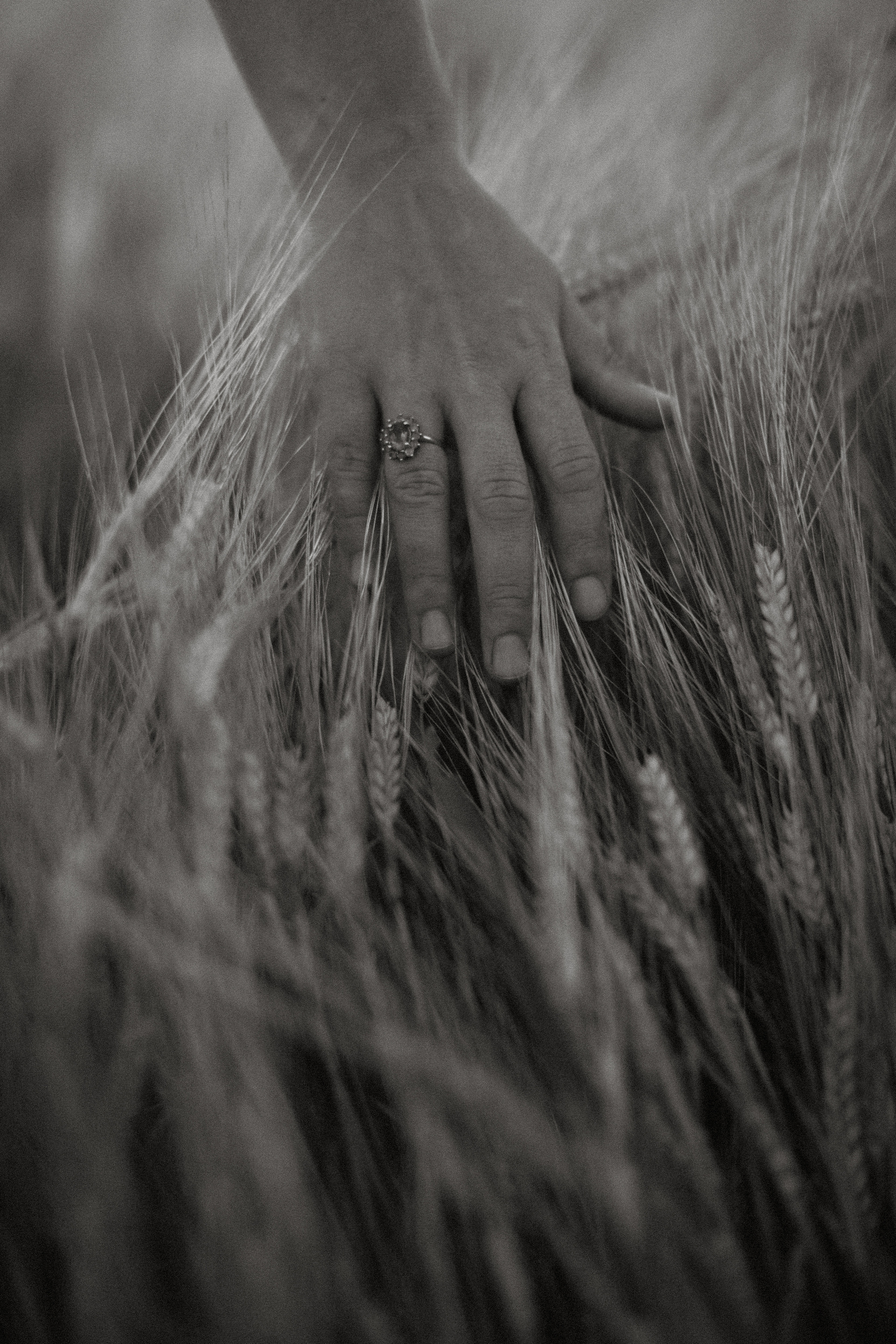 Фотограф НатаФото (Наталья Яковенко) Дмитров Москва Питер