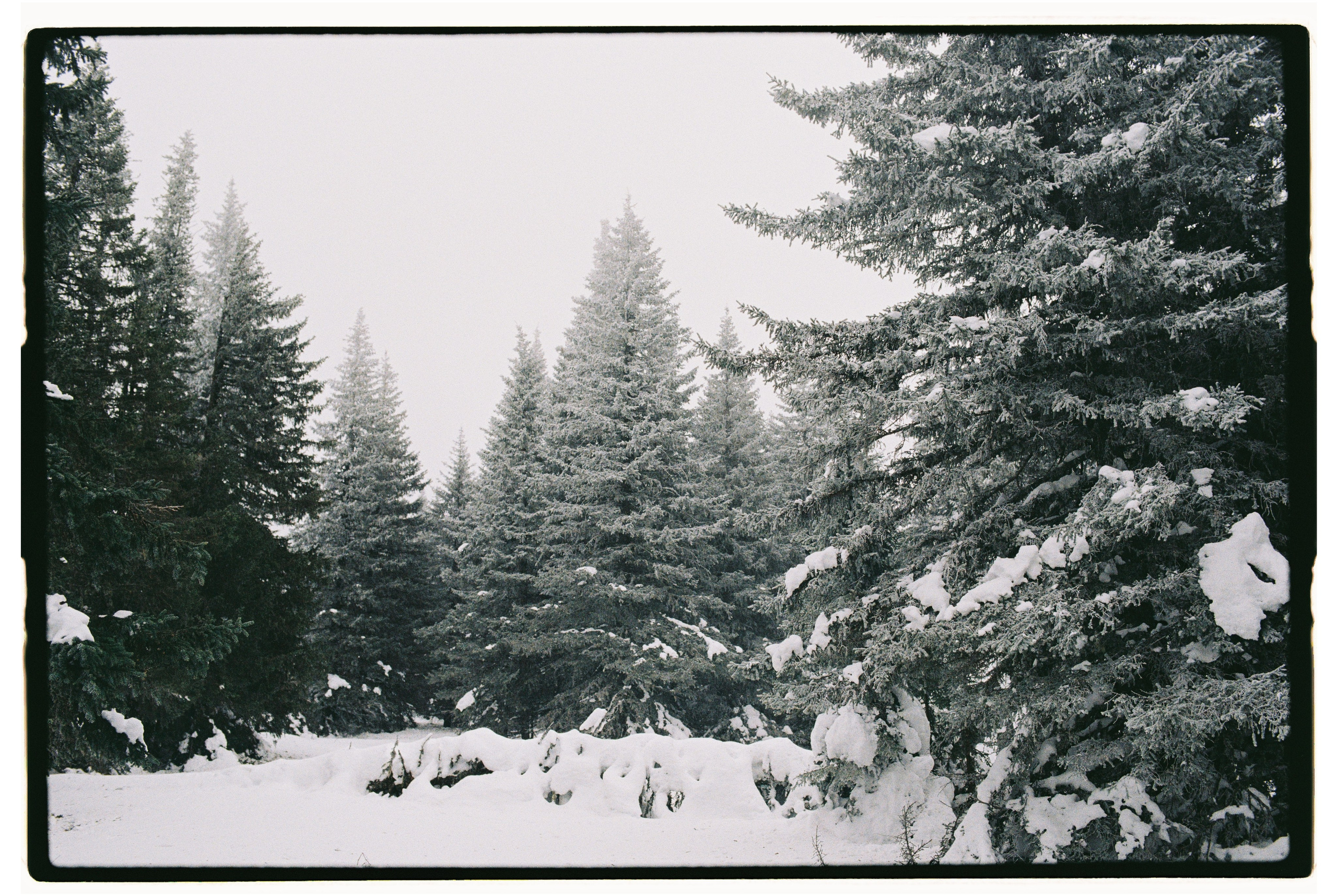 Пленка. Фотограф Андрей Куськало