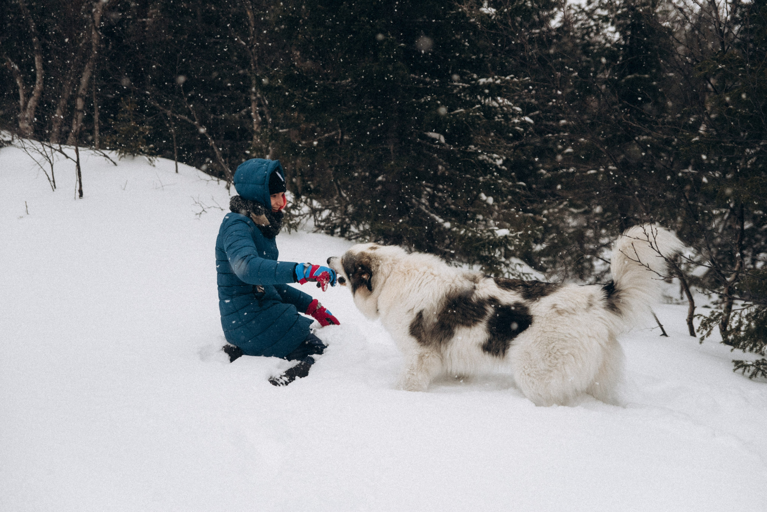 Териберка, Мурманск, Россия 🇷🇺. Anita_photo